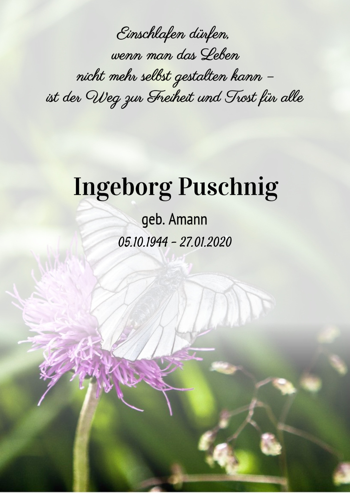 Traueranzeige von Ingeborg Puschnig