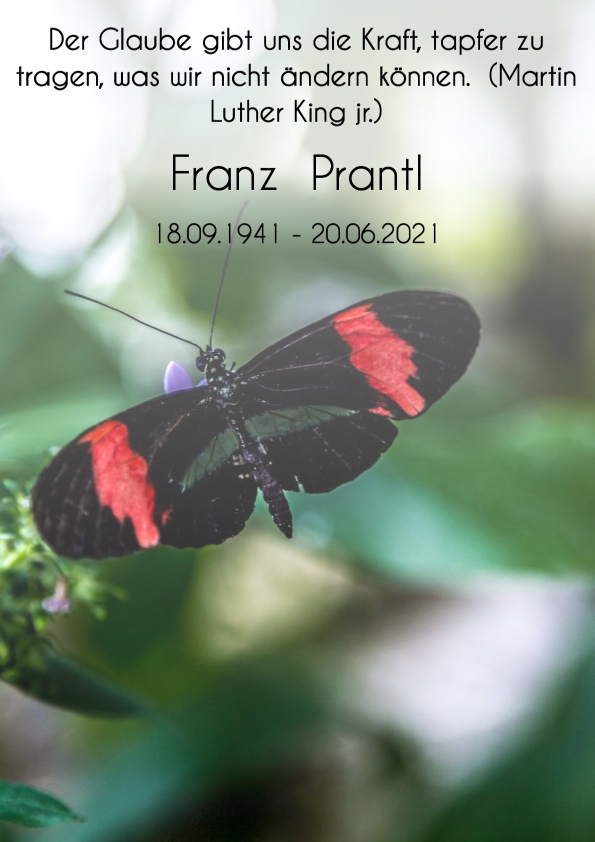 Traueranzeige von Franz Prantl