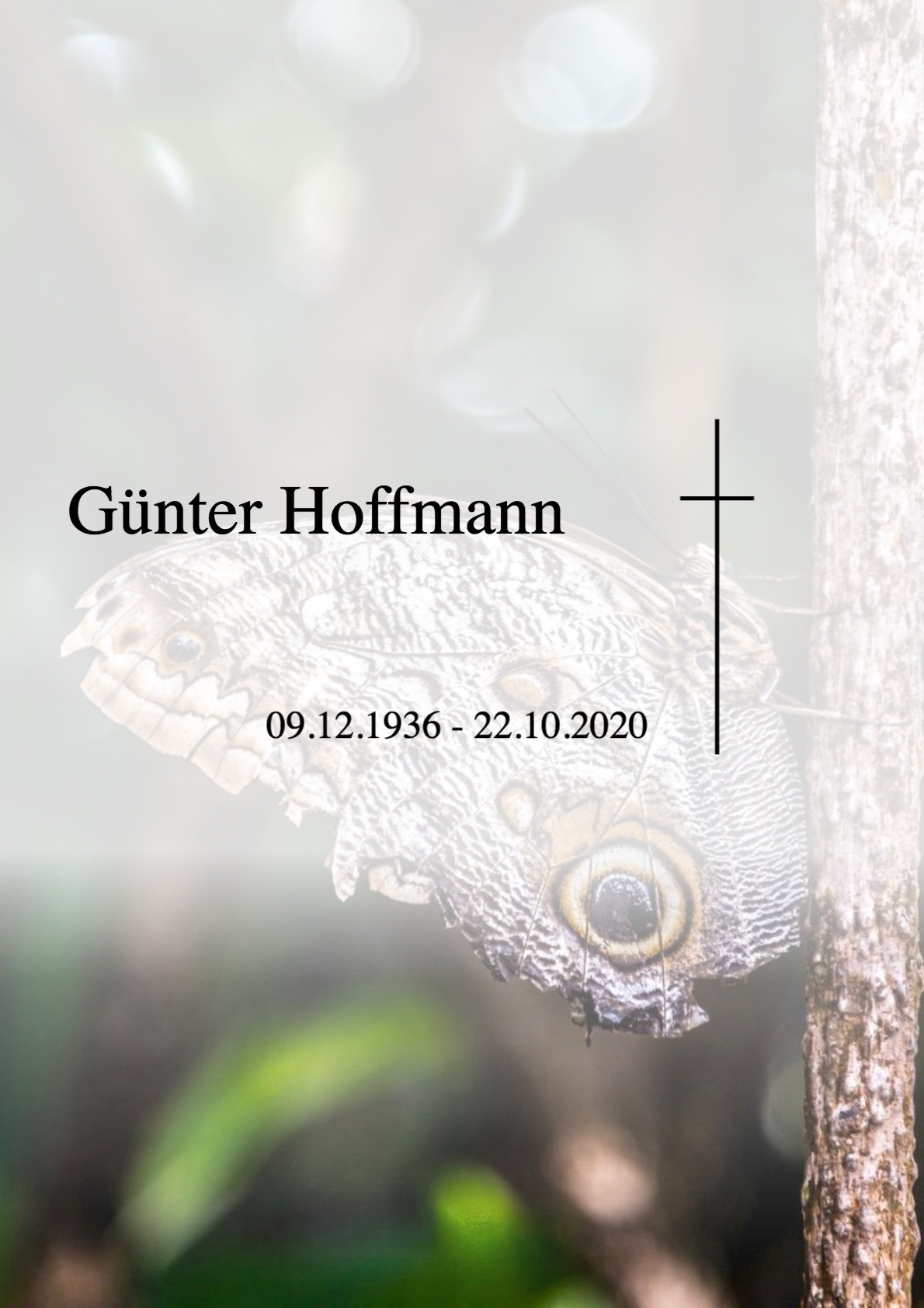 Traueranzeige von Günter Hoffmann