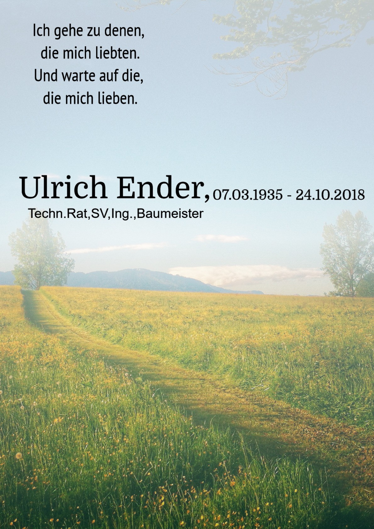 Traueranzeige von Ulrich Ender