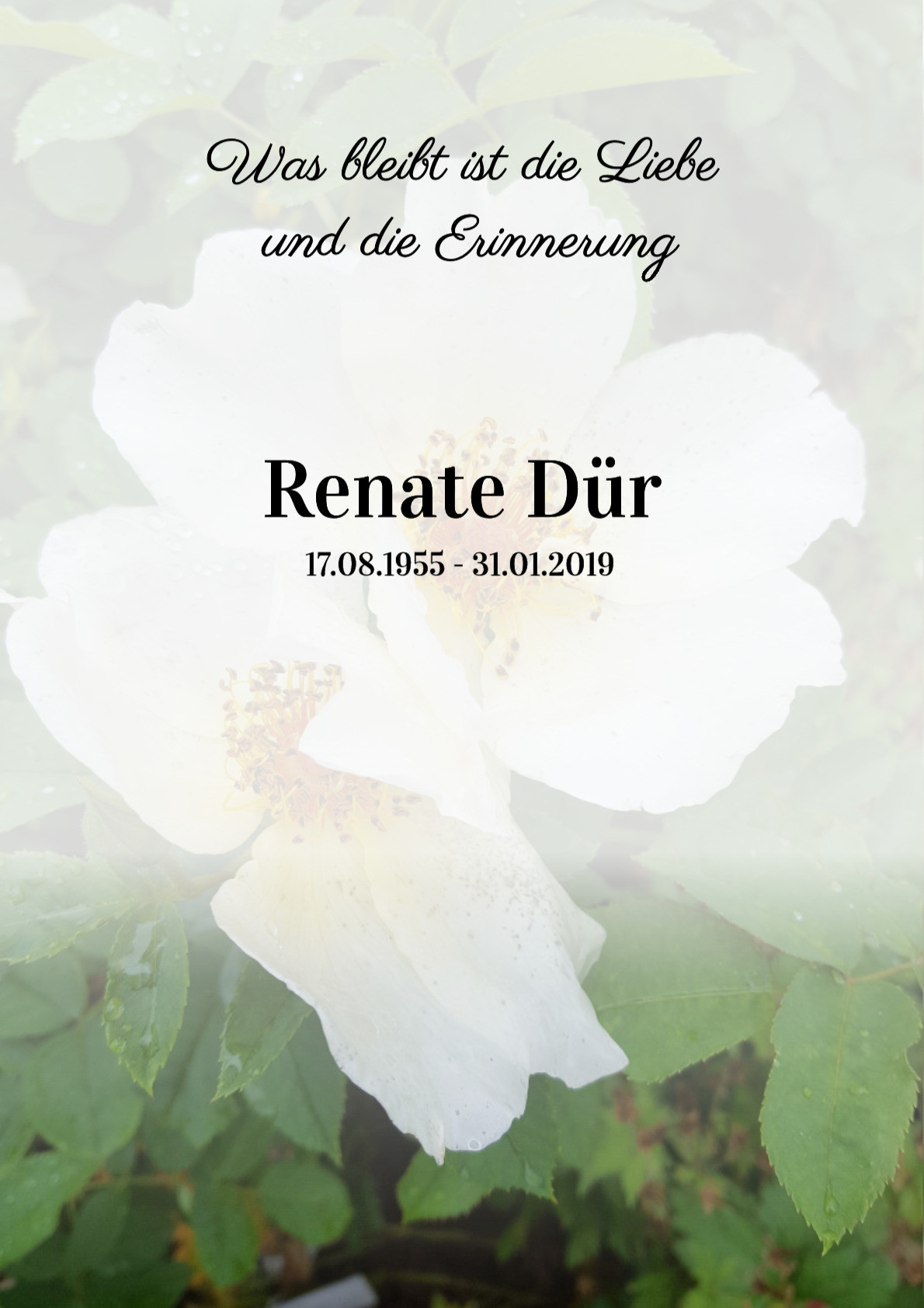 Traueranzeige von Renate Dür