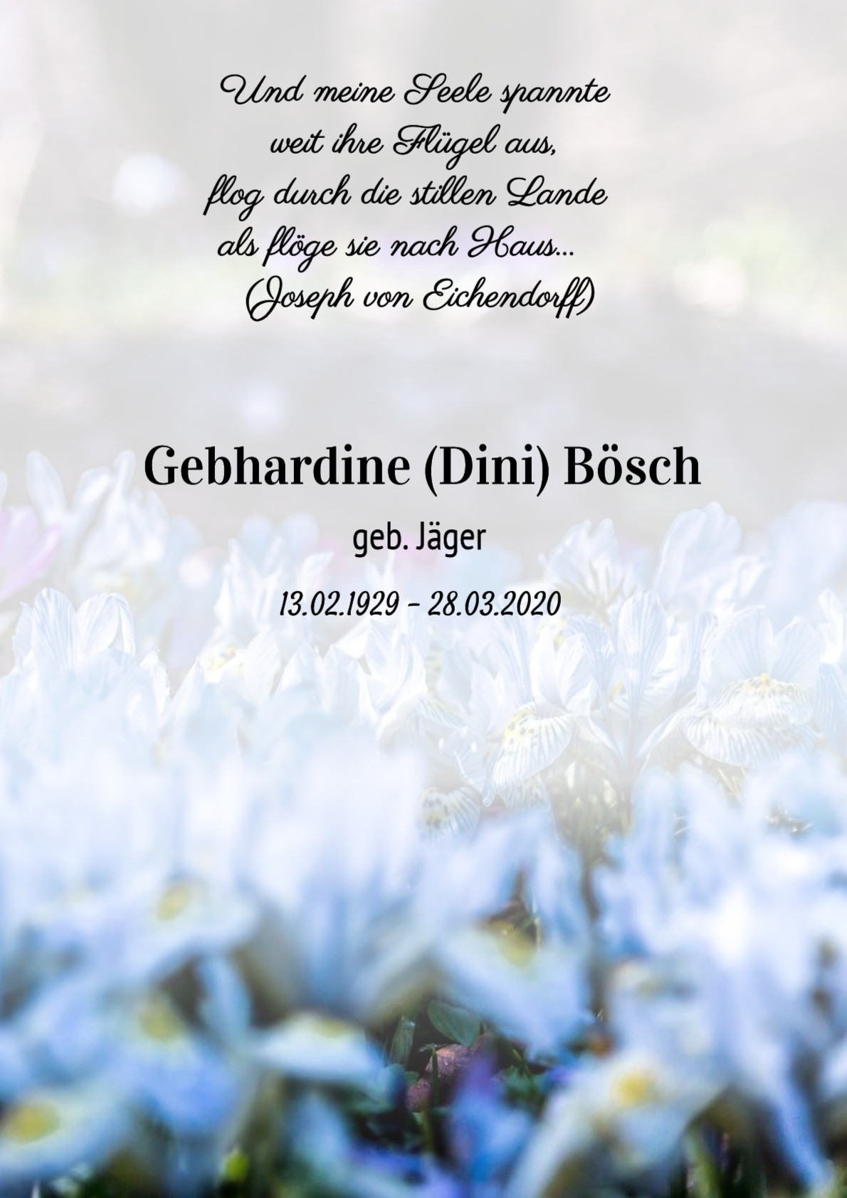 Traueranzeige von Gebhardine (Dini) Bösch