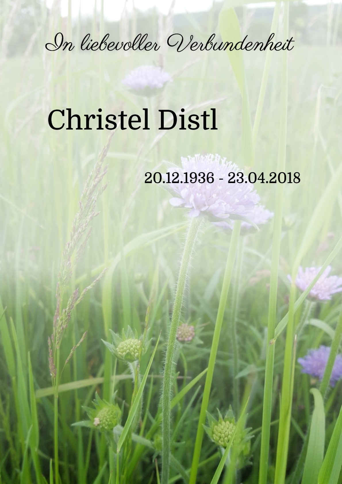 Traueranzeige von Christel Distl