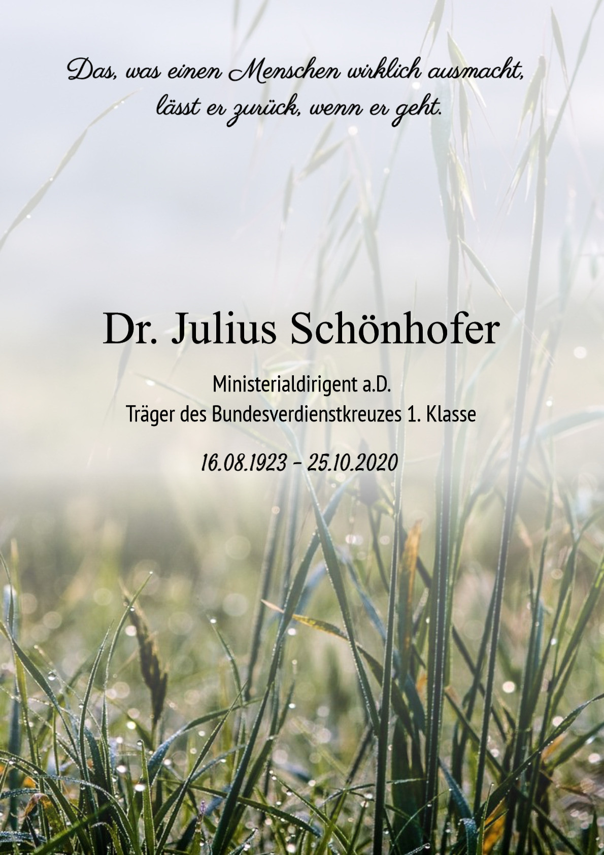 Traueranzeige von Dr. Julius Schönhofer