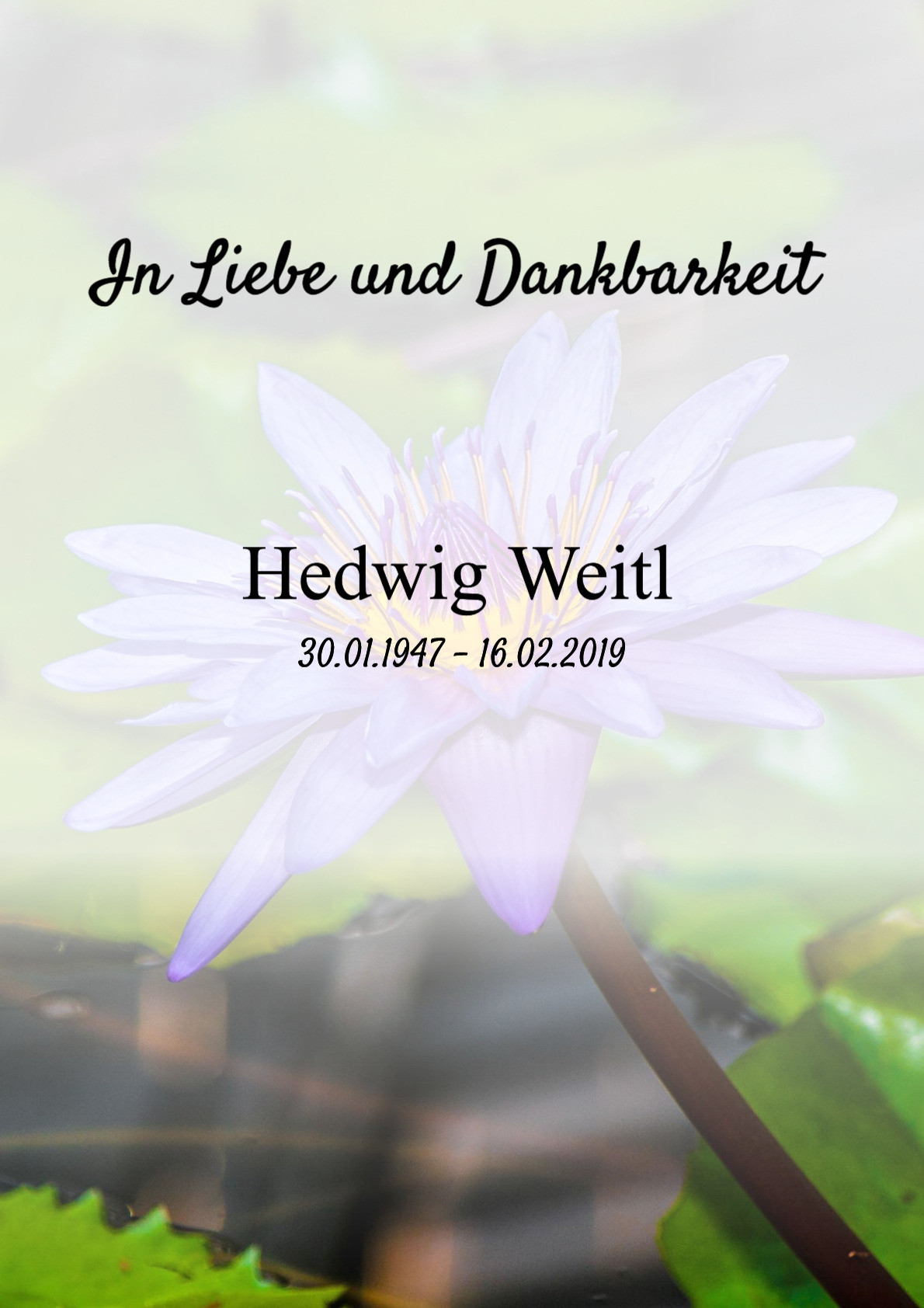 Traueranzeige von Hedwig Weitl