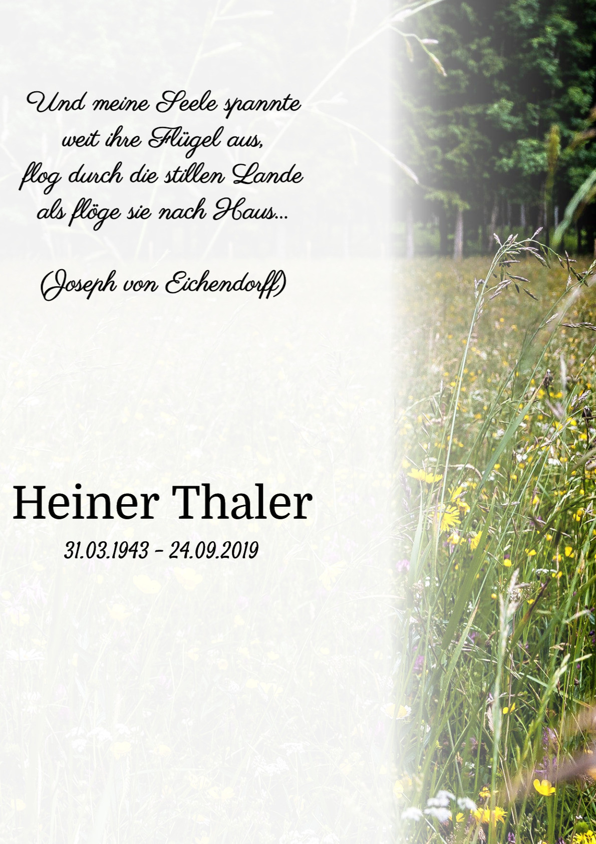 Traueranzeige von Heiner Thaler