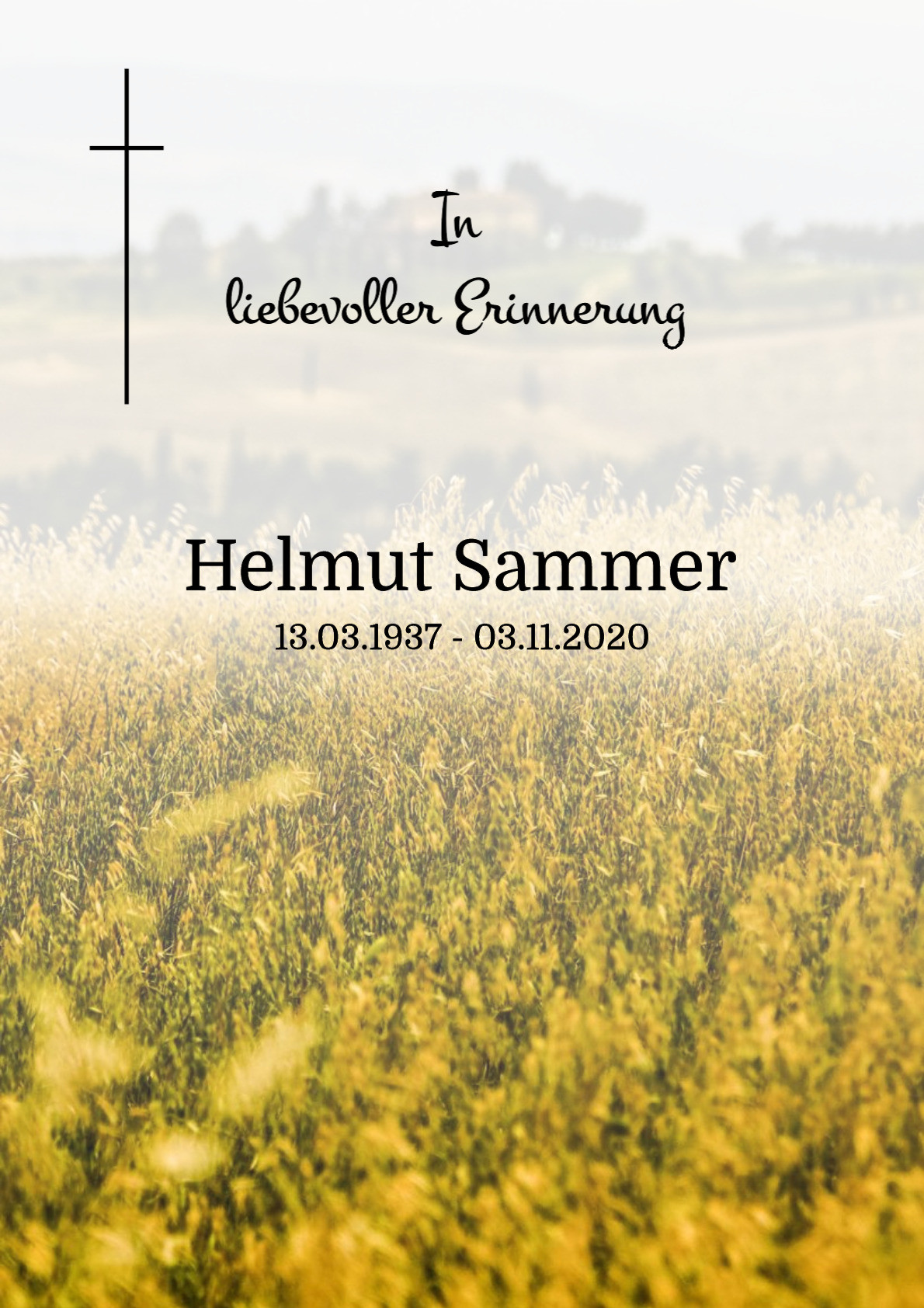 Traueranzeige von Helmut Sammer
