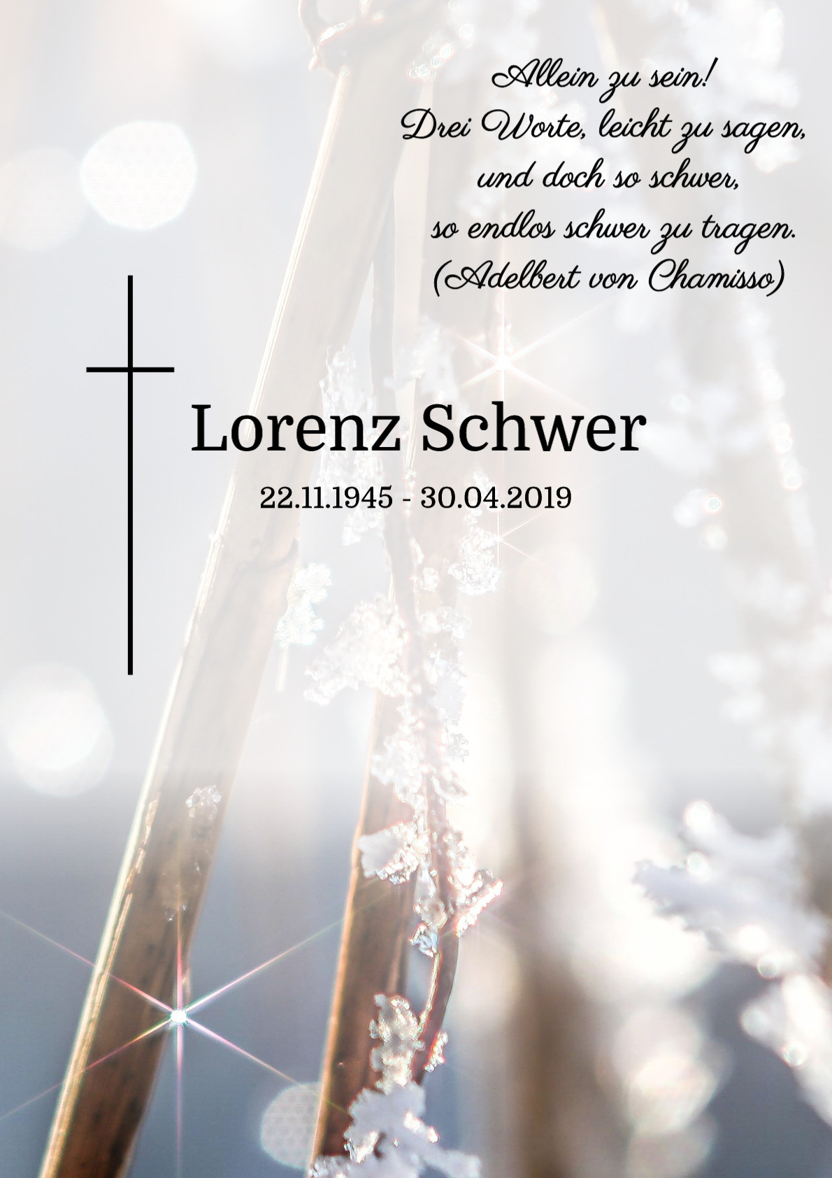 Traueranzeige von Lorenz Schwer