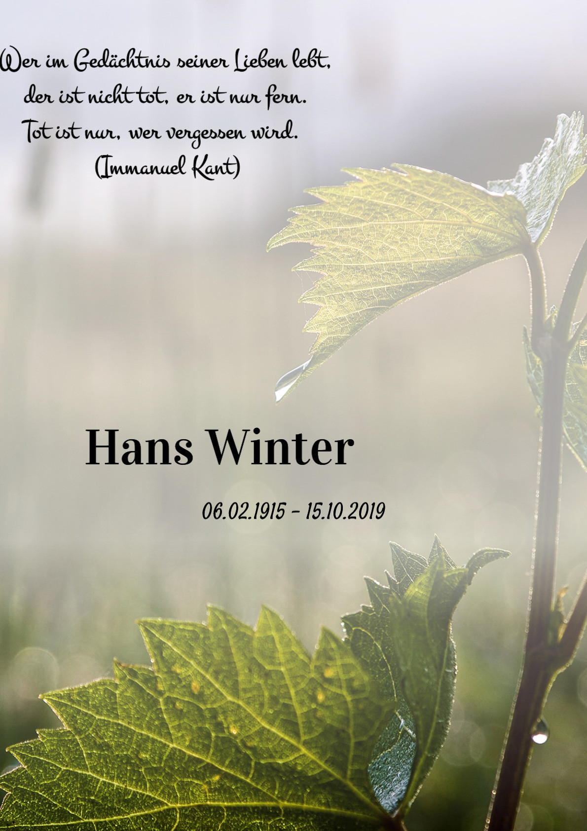 Traueranzeige von Hans Winter