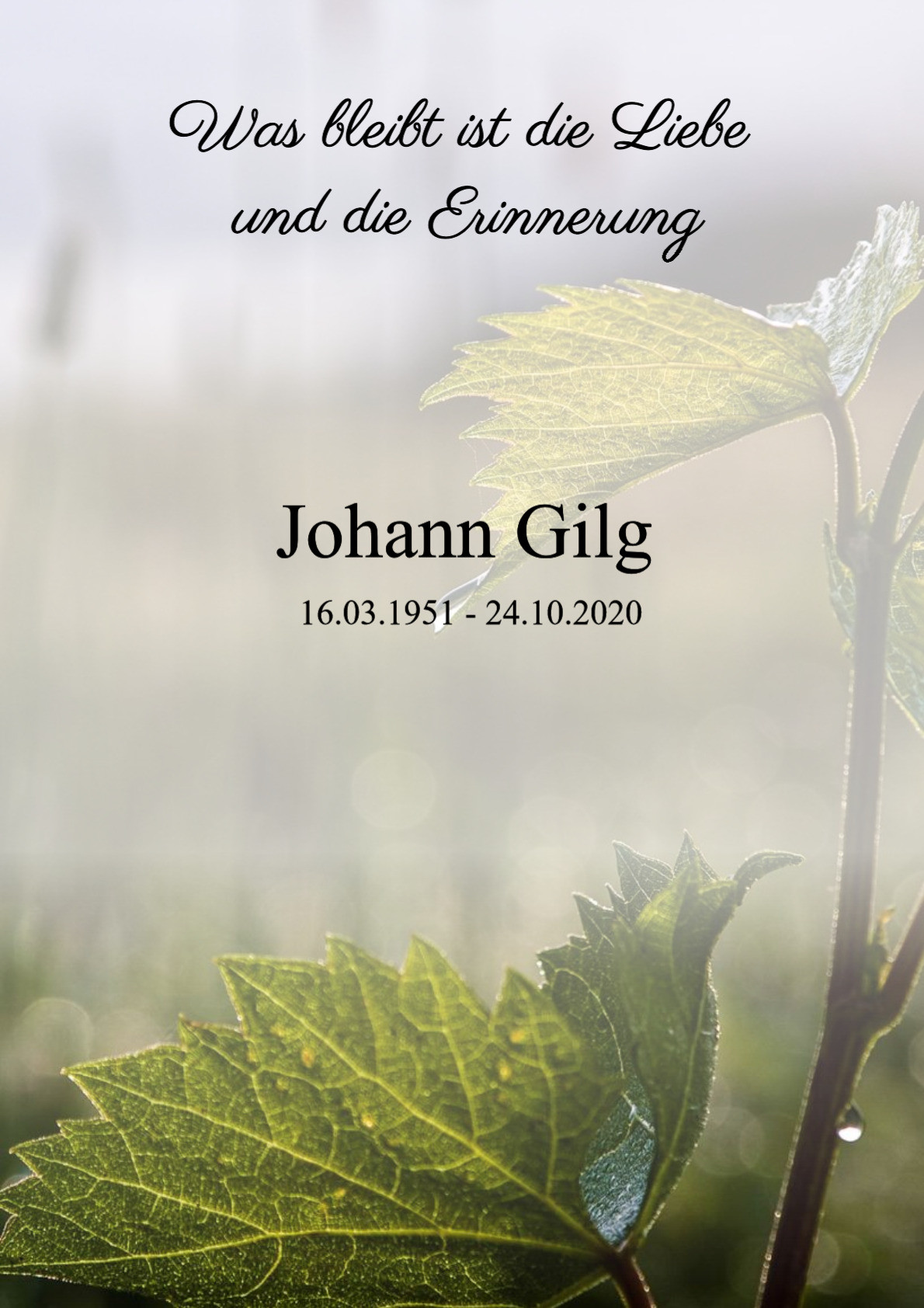 Traueranzeige von Johann Gilg