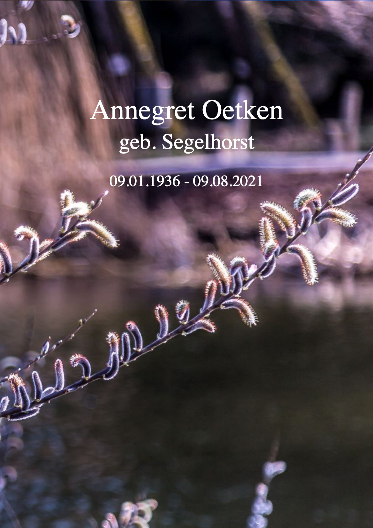 Traueranzeige von Annegret Oetken