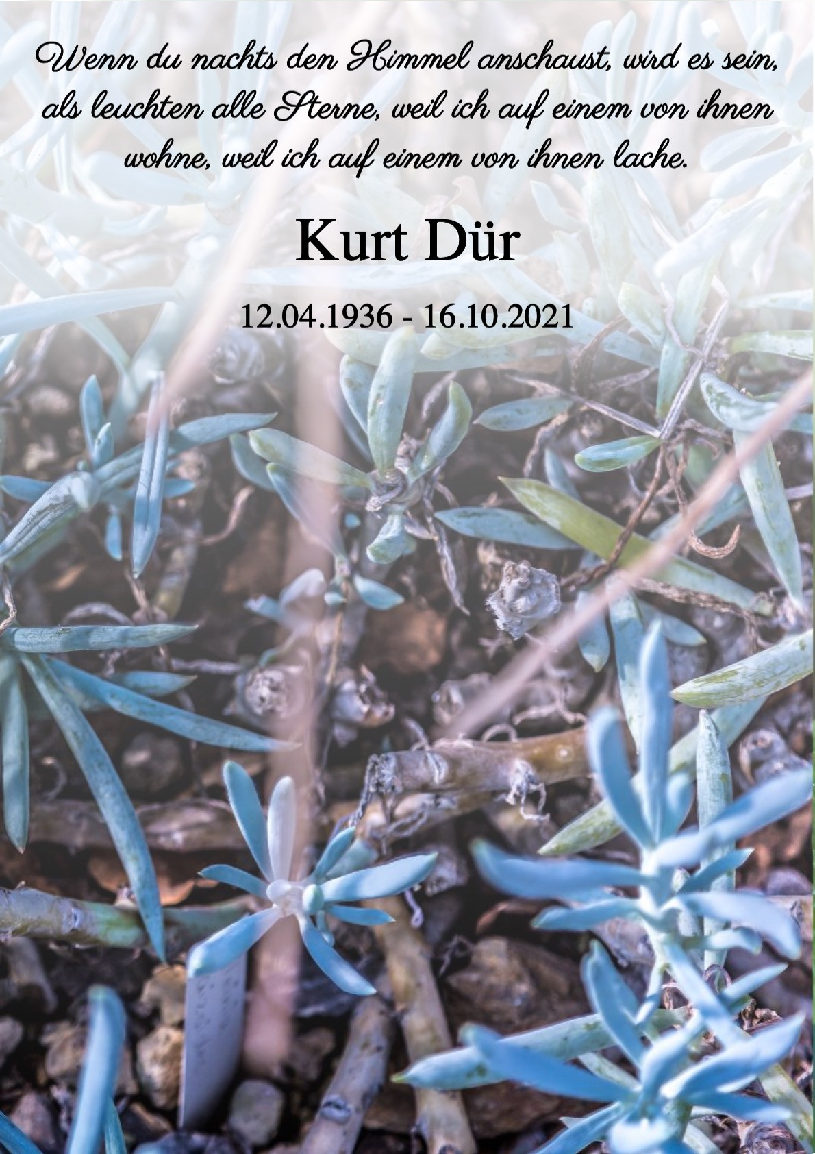 Traueranzeige von Kurt Dür