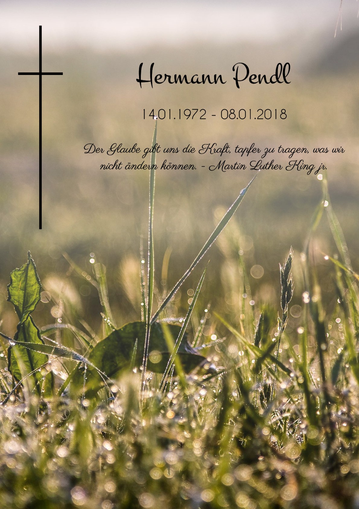 Traueranzeige von Hermann Pendl