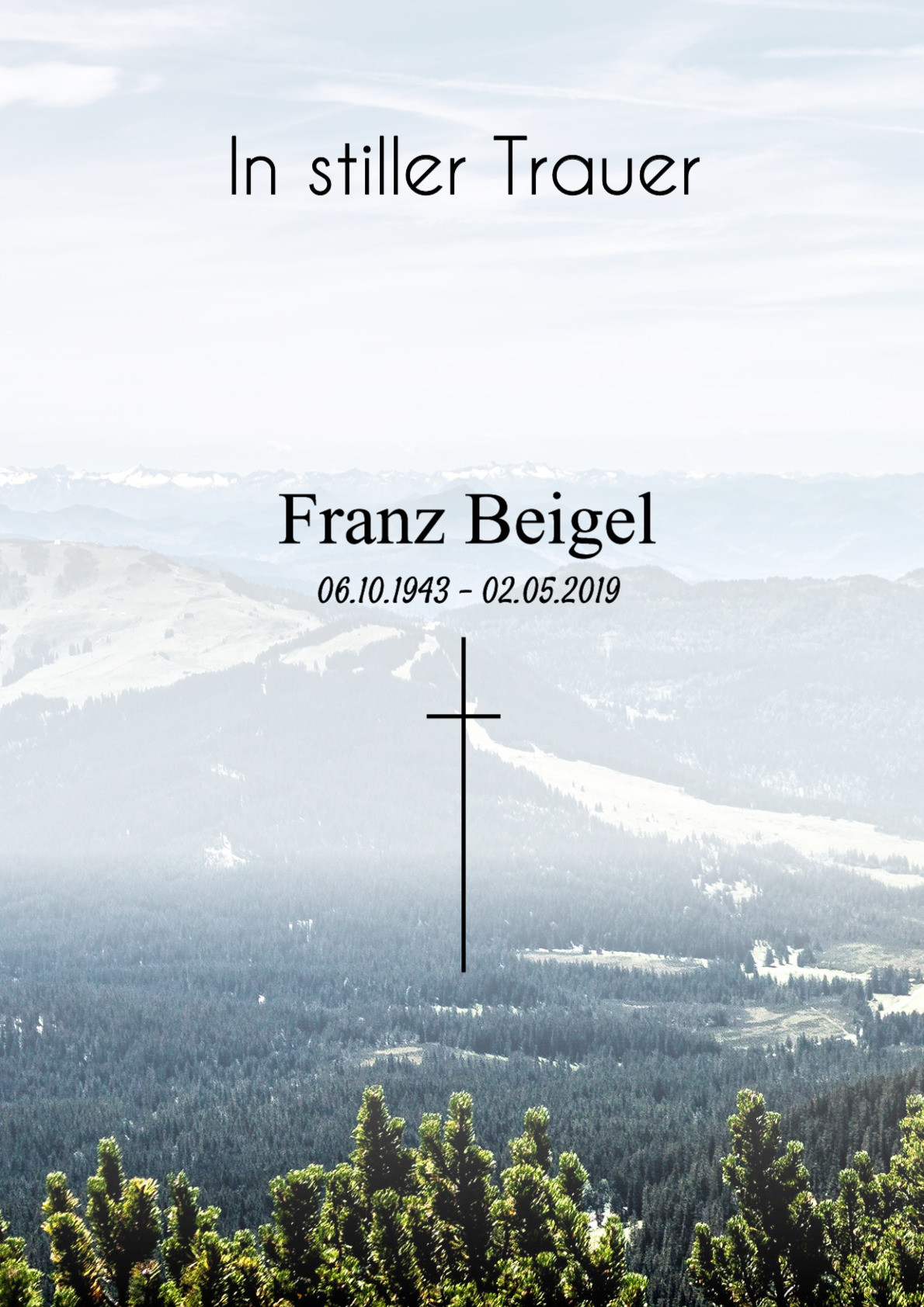Traueranzeige von Franz Beigel