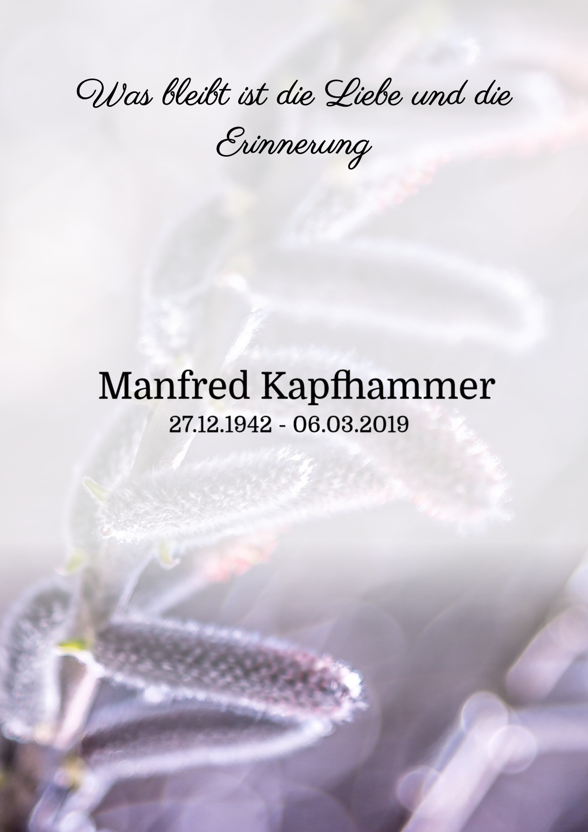 Traueranzeige von Manfred Kapfhammer