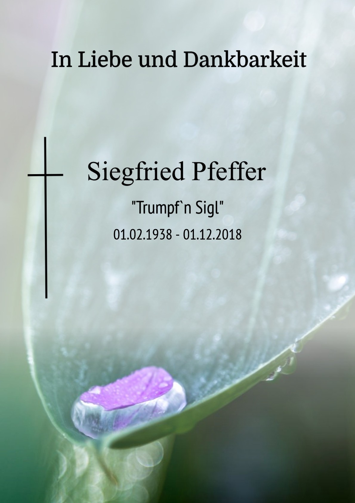 Traueranzeige von Siegfried Pfeffer