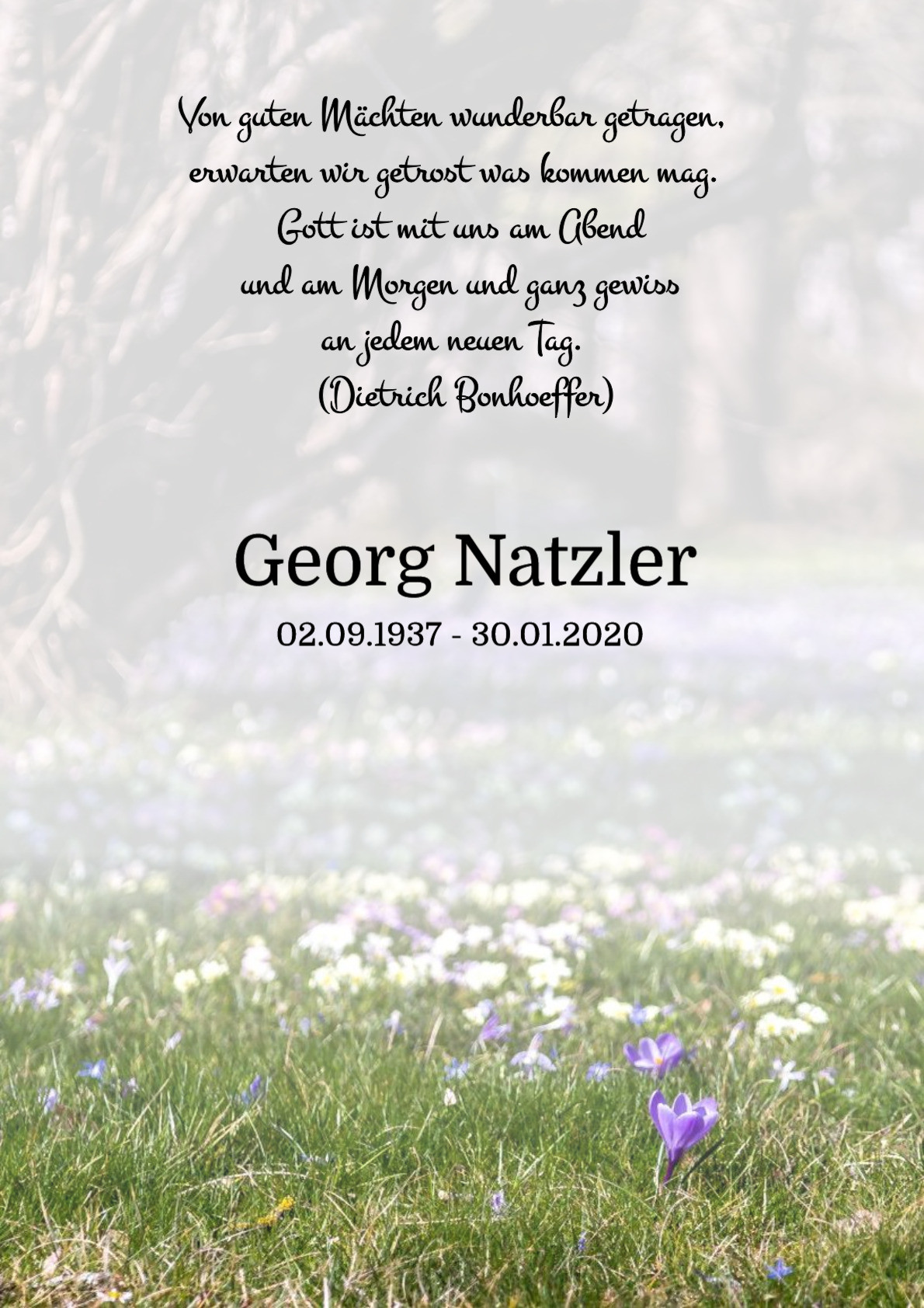 Traueranzeige von Georg Natzler