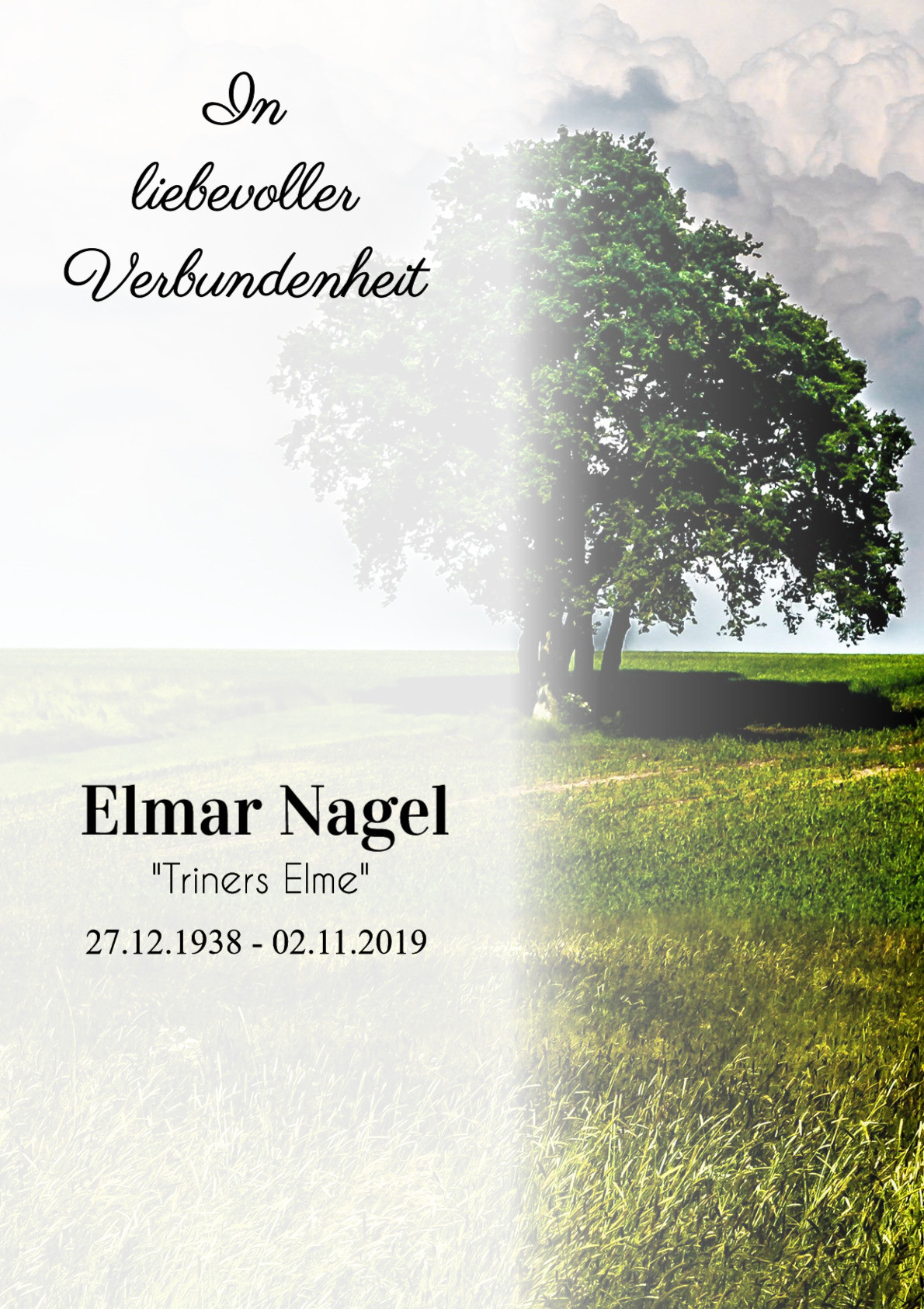 Traueranzeige von Elmar Nagel