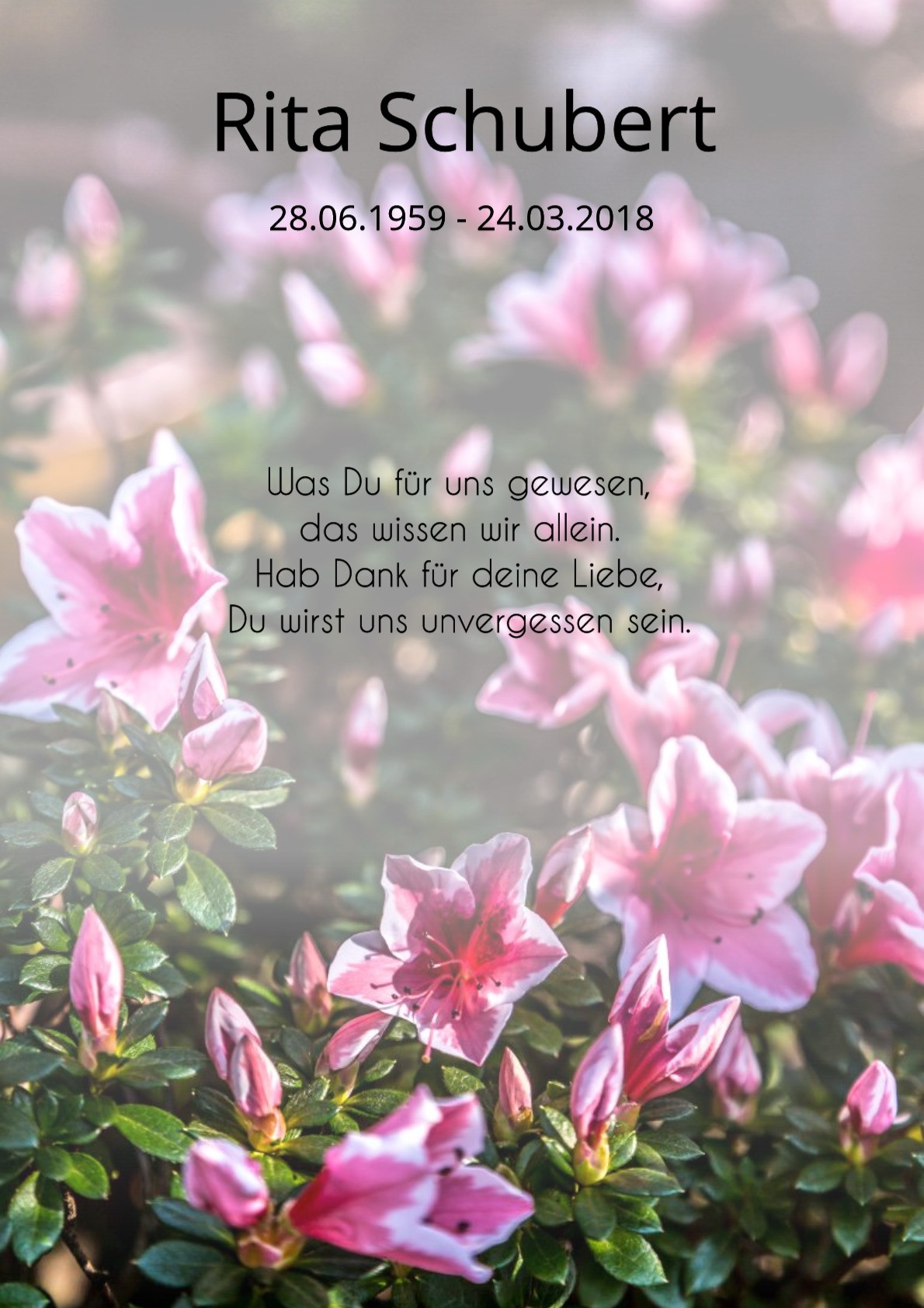 Traueranzeige von Rita Schubert