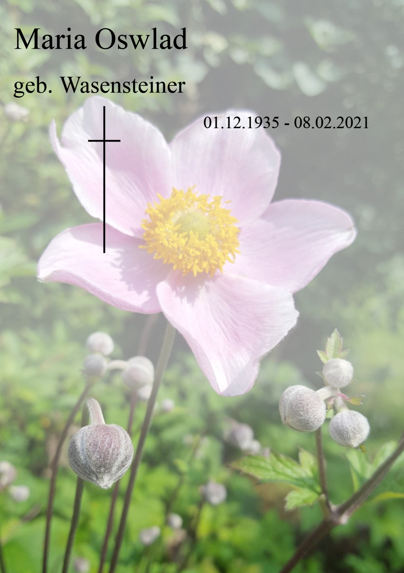 Traueranzeige von Maria Oswlad