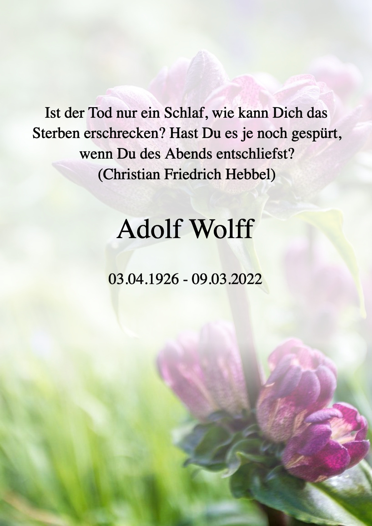 Traueranzeige von Adolf Wolff