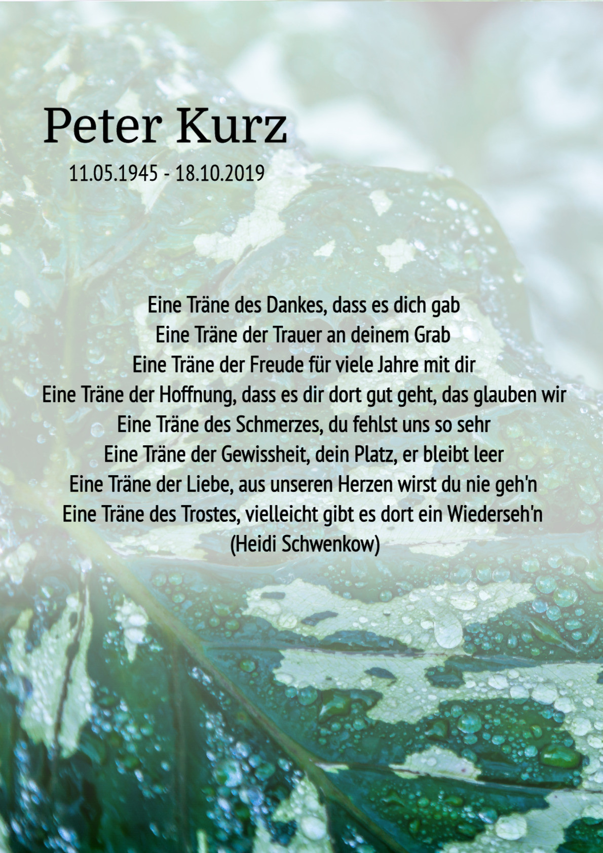 Traueranzeige von Peter Kurz
