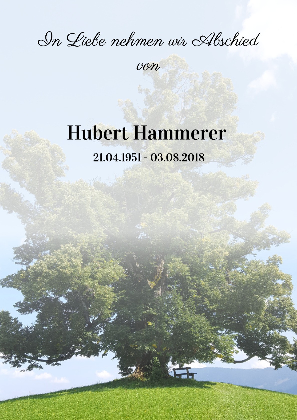 Traueranzeige von Hubert Hammerer