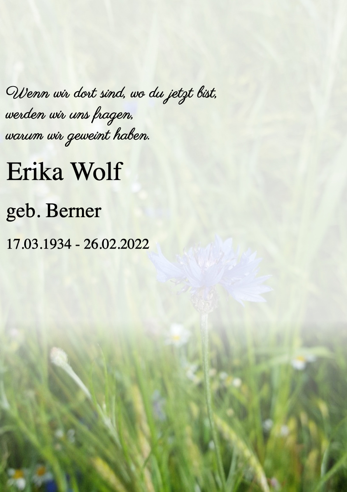 Traueranzeige von Erika Wolf