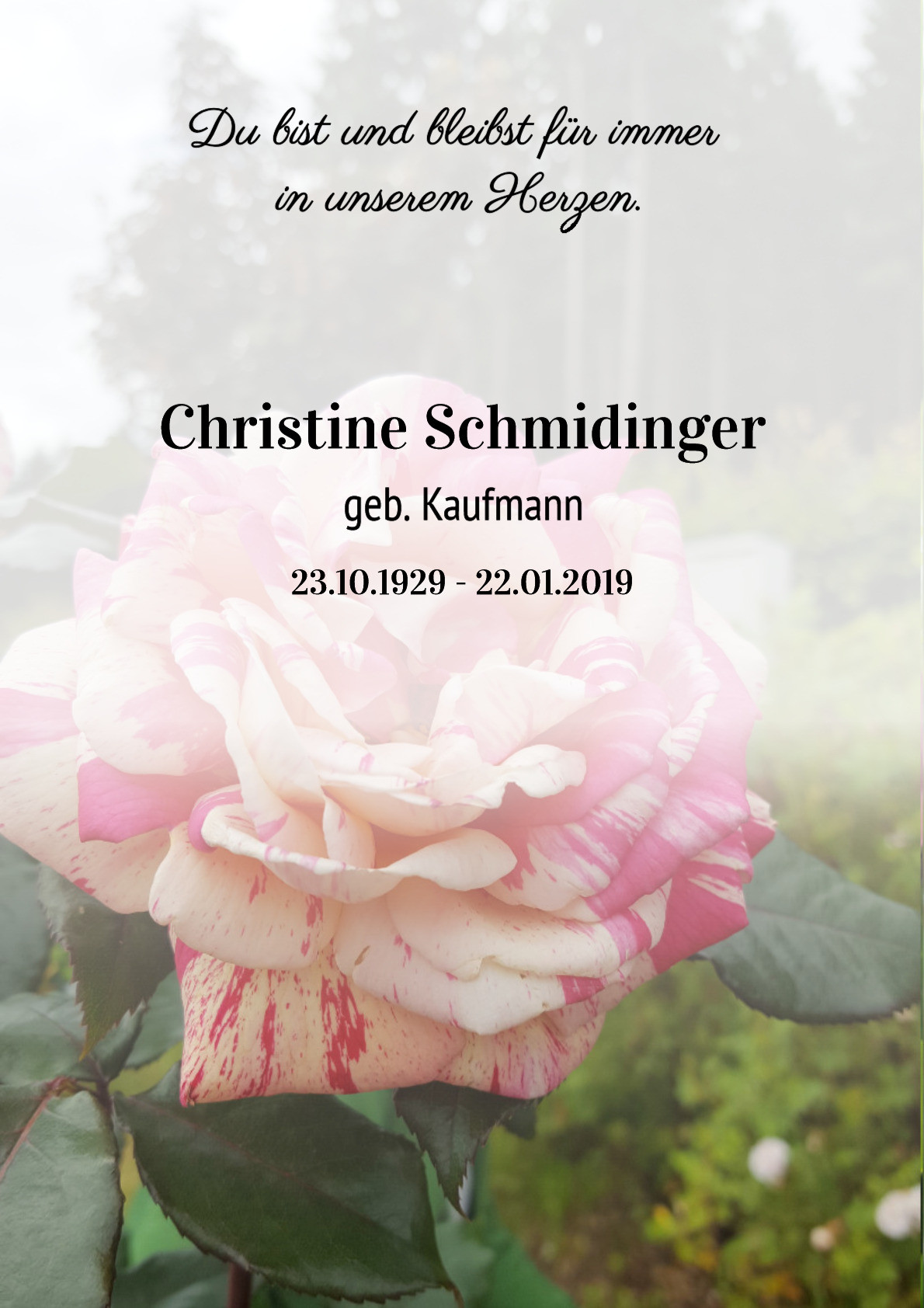 Traueranzeige von Christine Schmidinger