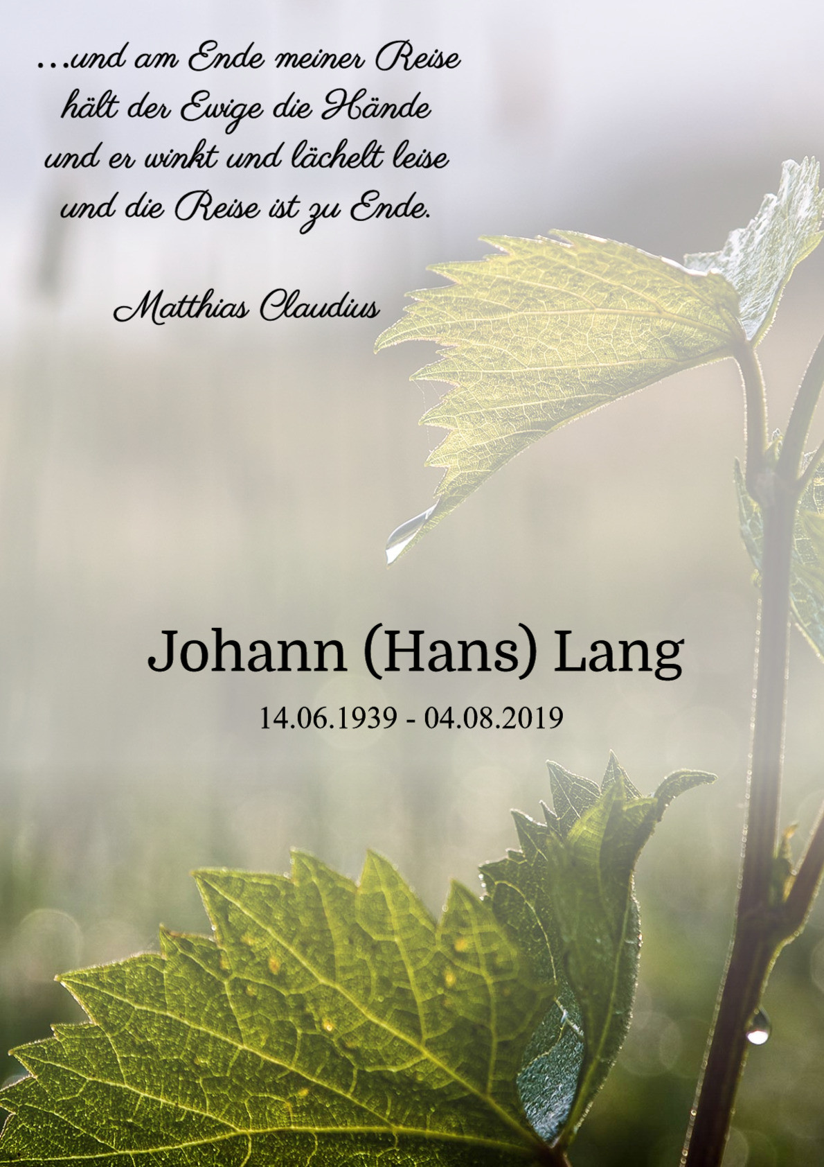 Traueranzeige von Johann (Hans) Lang