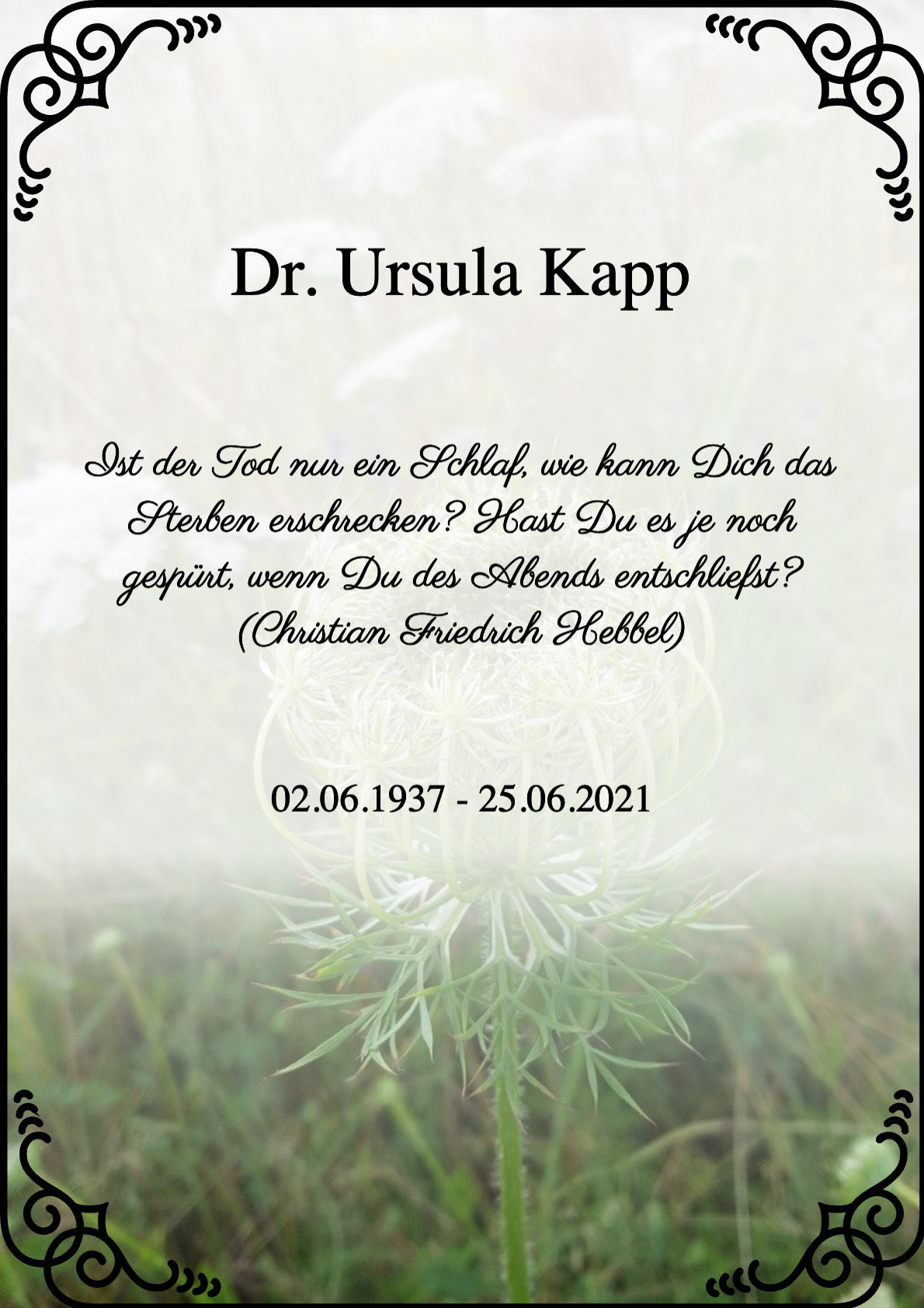 Traueranzeige von Dr. Ursula Kapp