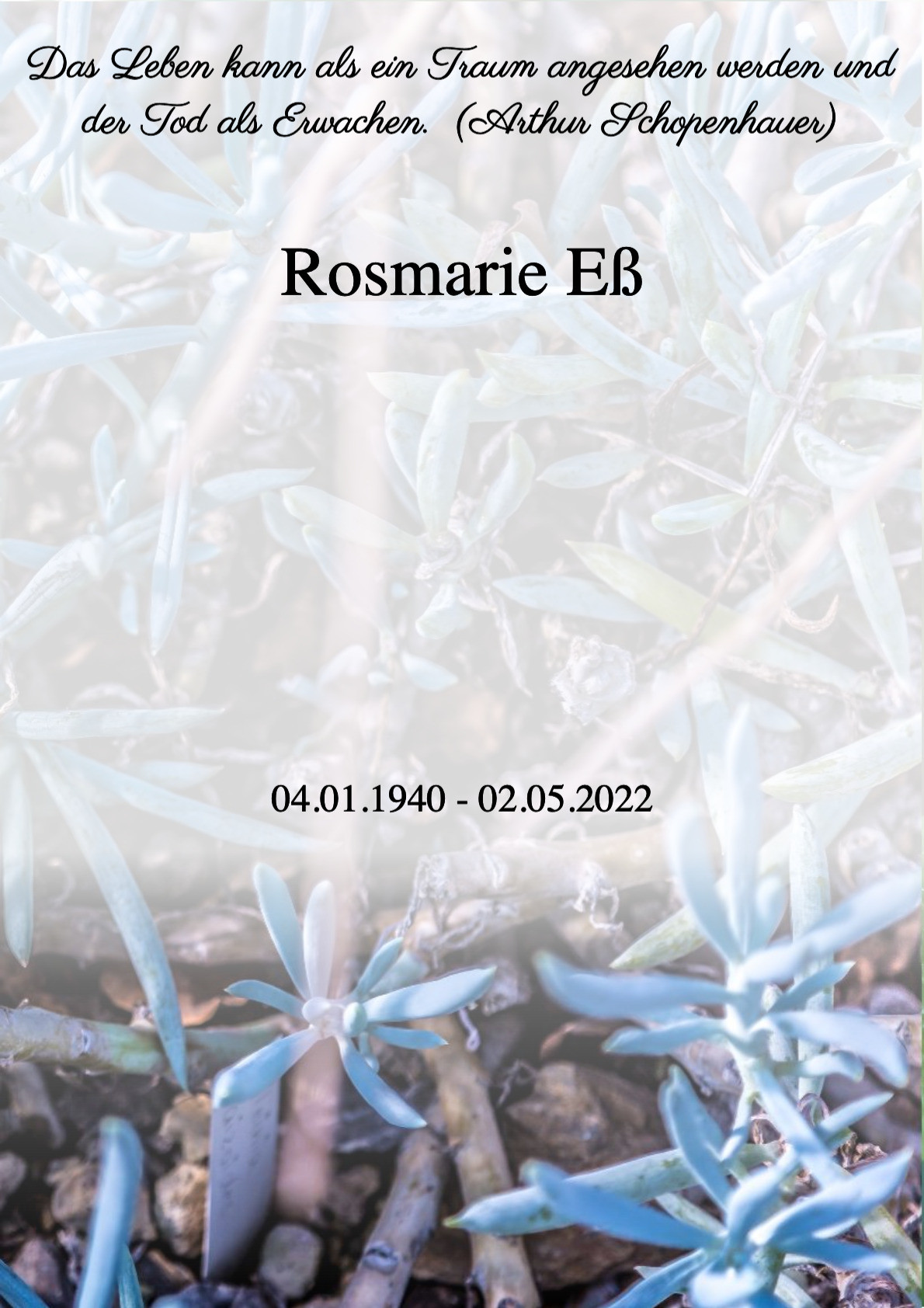 Traueranzeige von Rosmarie Eß