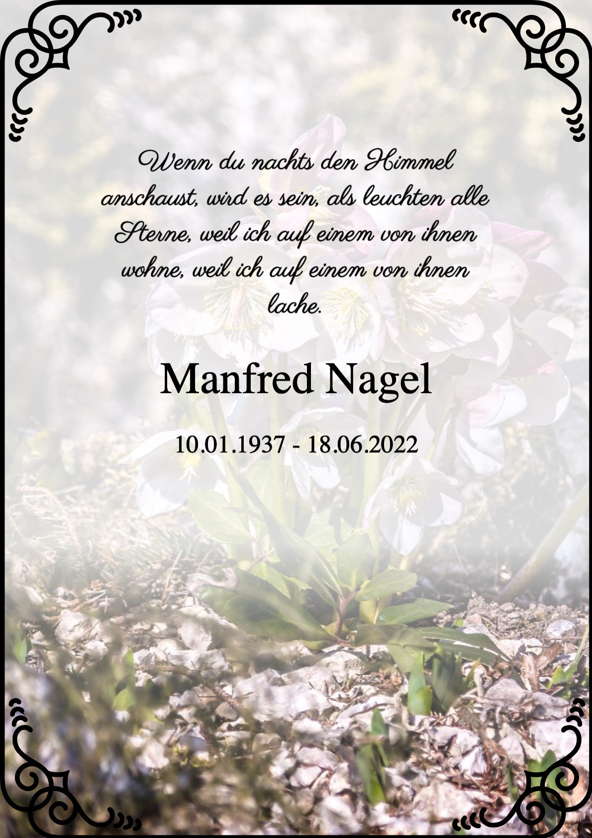 Traueranzeige von Manfred Nagel