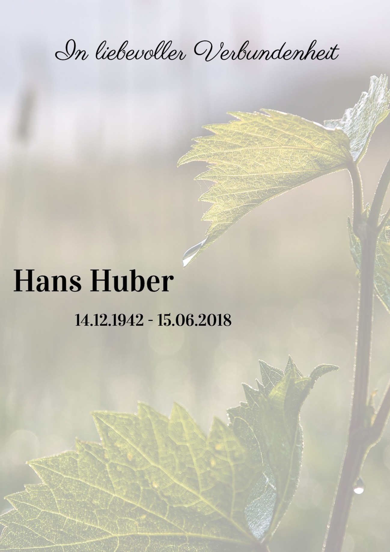 Traueranzeige von Hans Huber