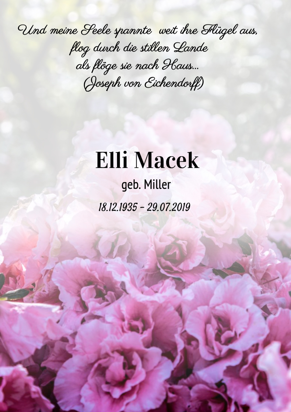 Traueranzeige von Elli Macek