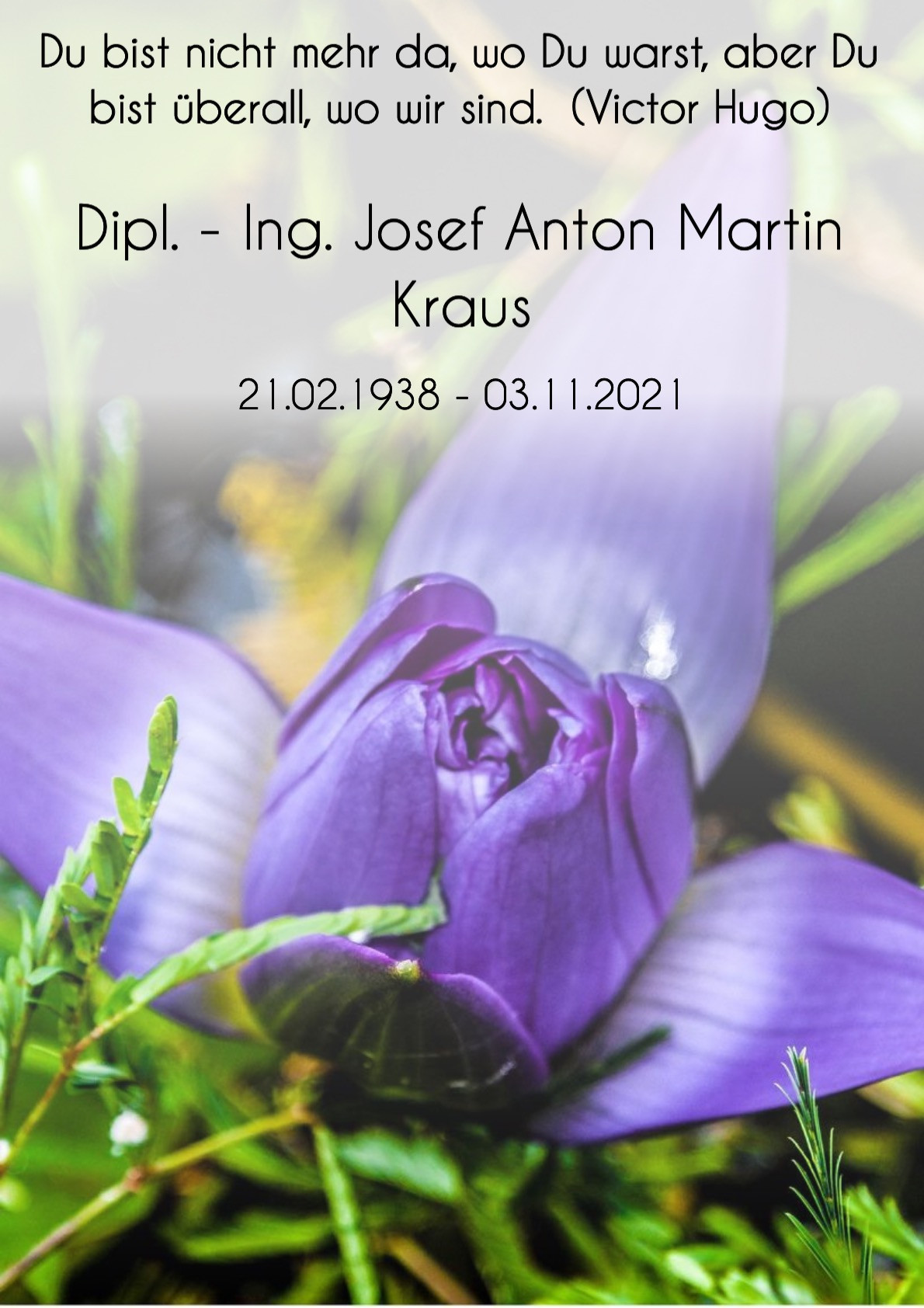 Traueranzeige von Dipl. - Ing. Josef Anton Martin Kraus