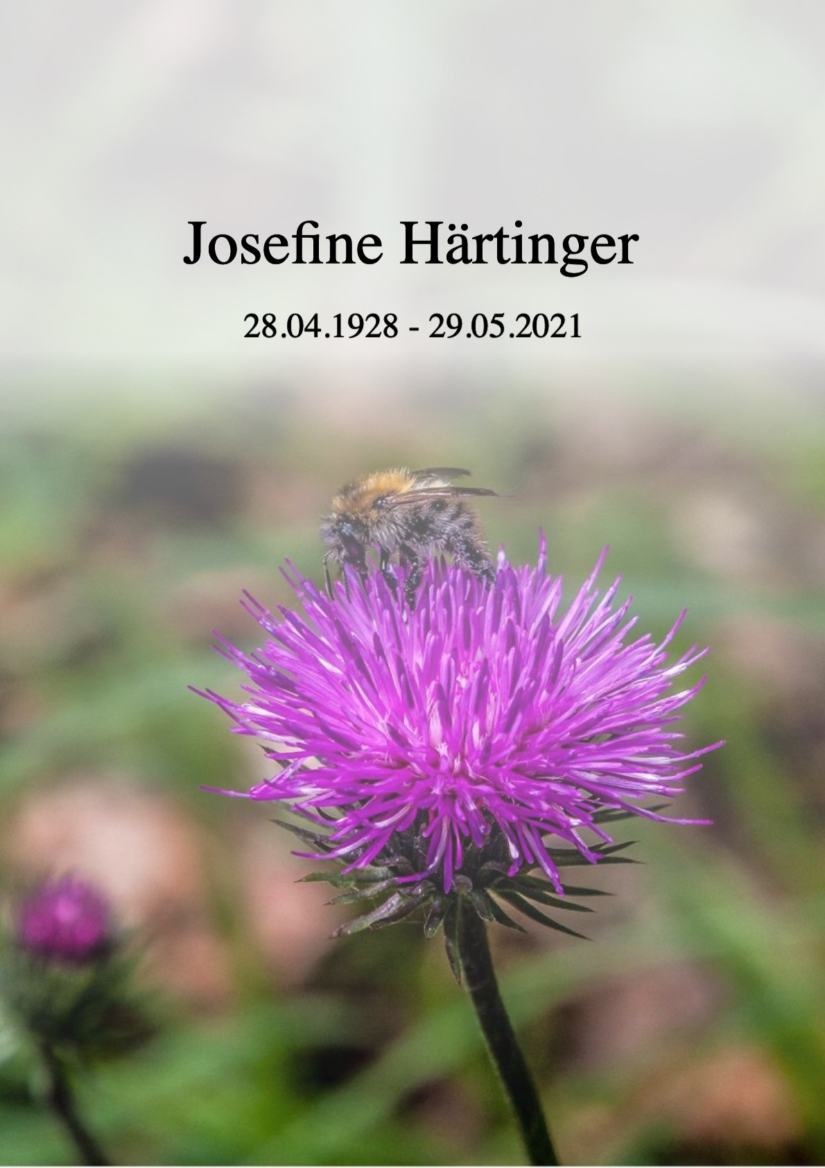 Traueranzeige von Josefine Härtinger