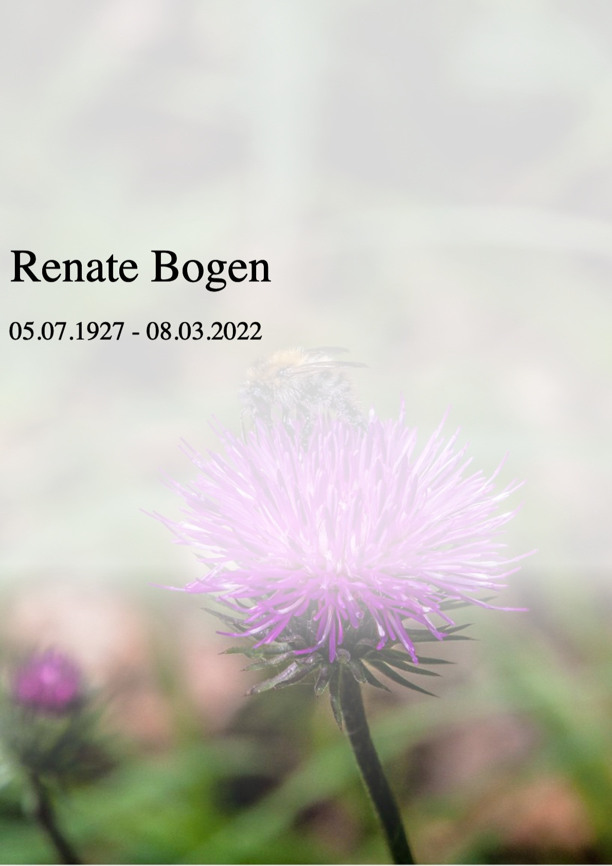 Traueranzeige von Renate Bogen