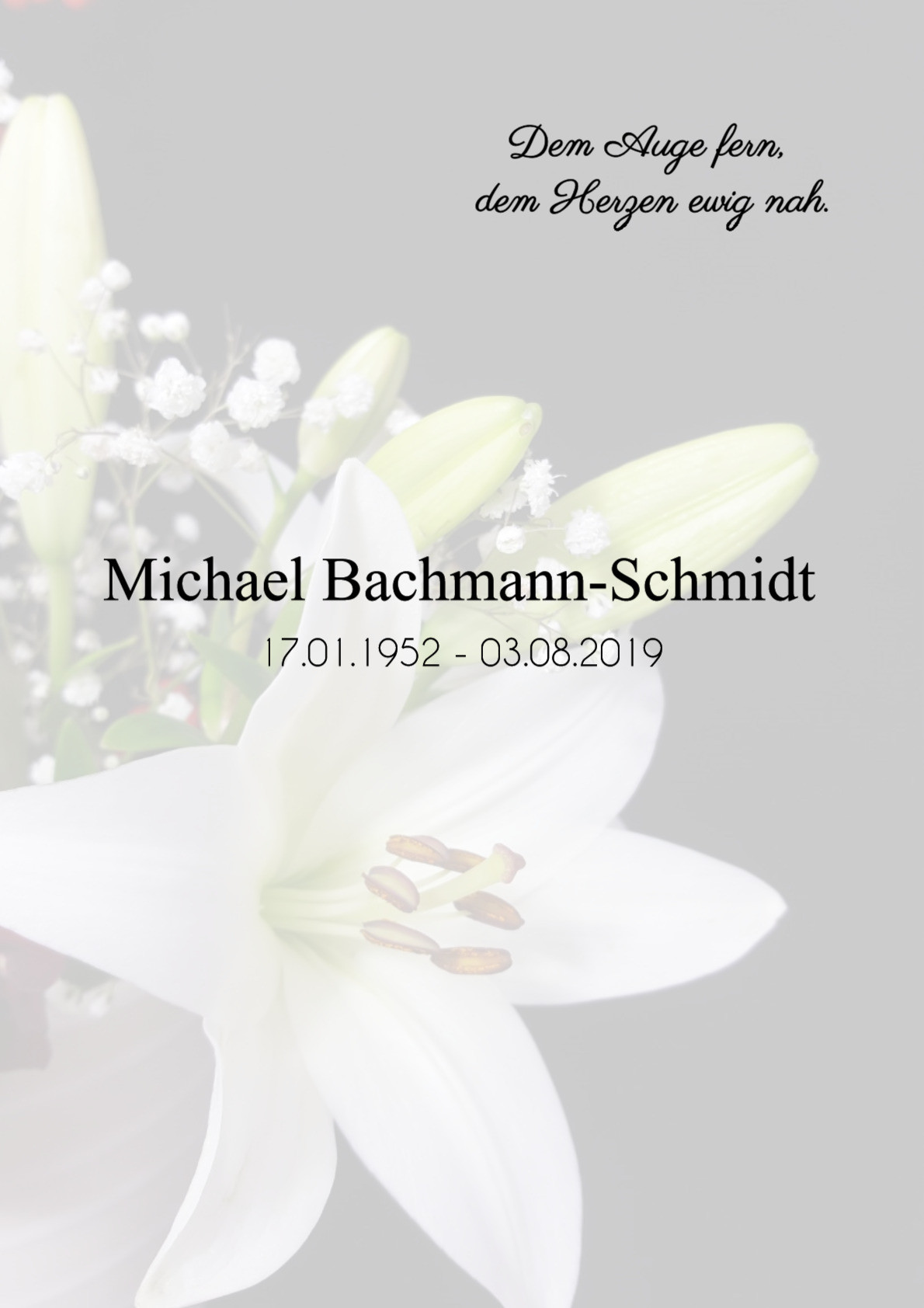 Traueranzeige von Michael Bachmann-Schmidt