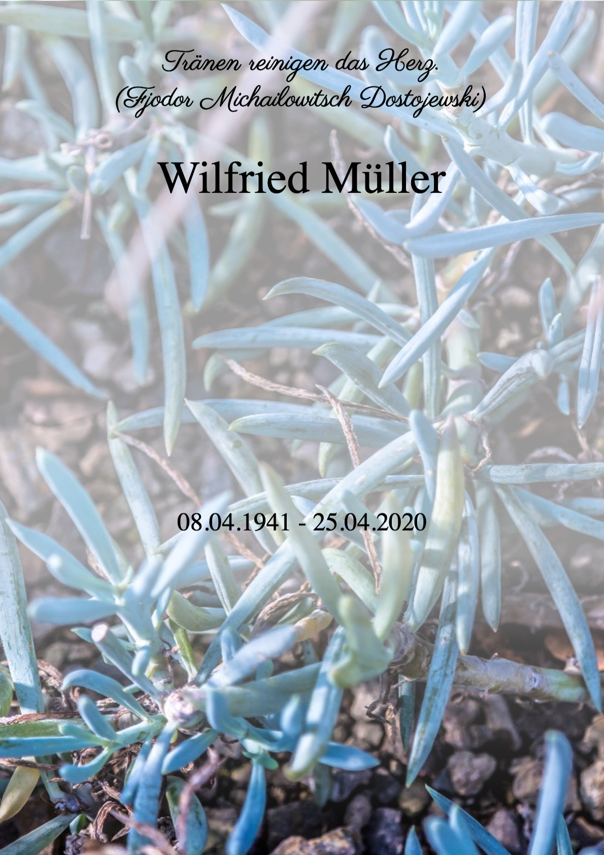 Traueranzeige von Wilfried Müller