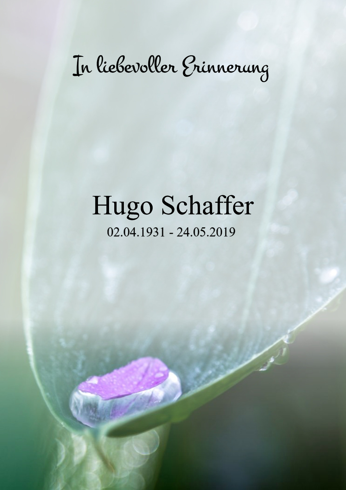 Traueranzeige von Hugo Schaffer