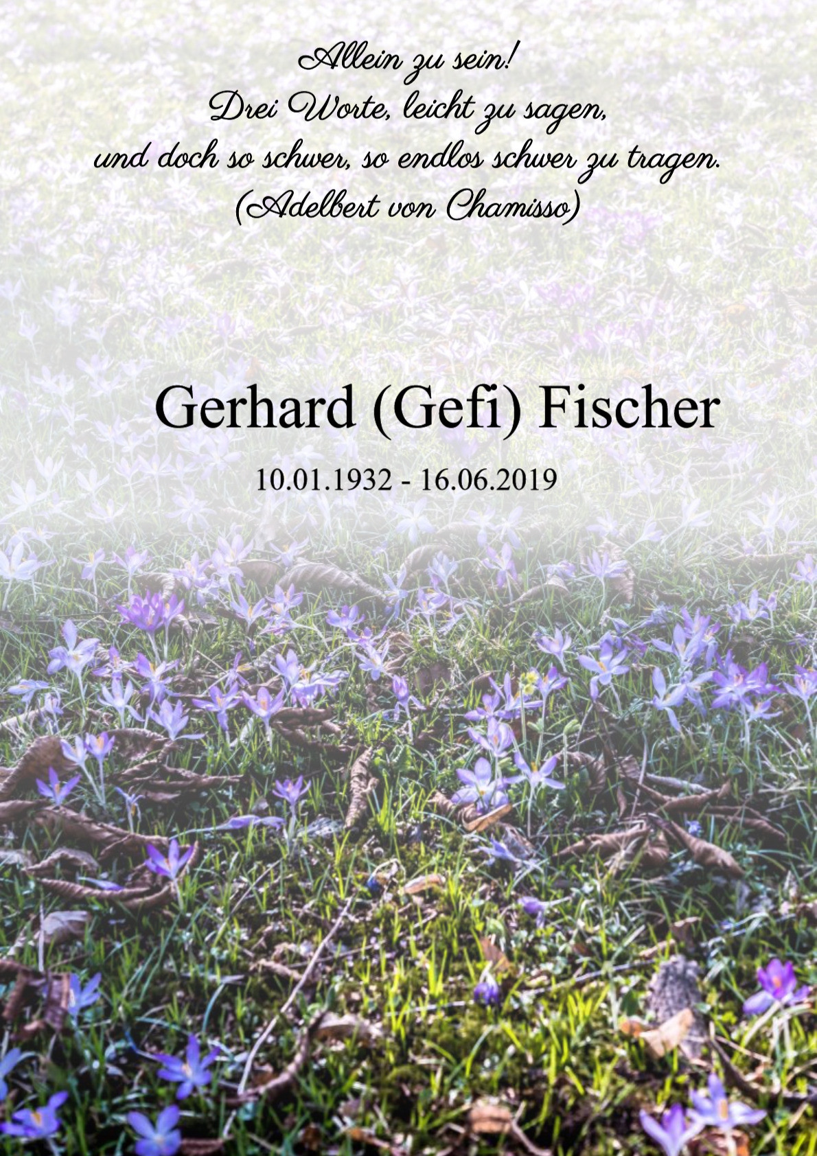 Traueranzeige von Gerhard (Gefi) Fischer