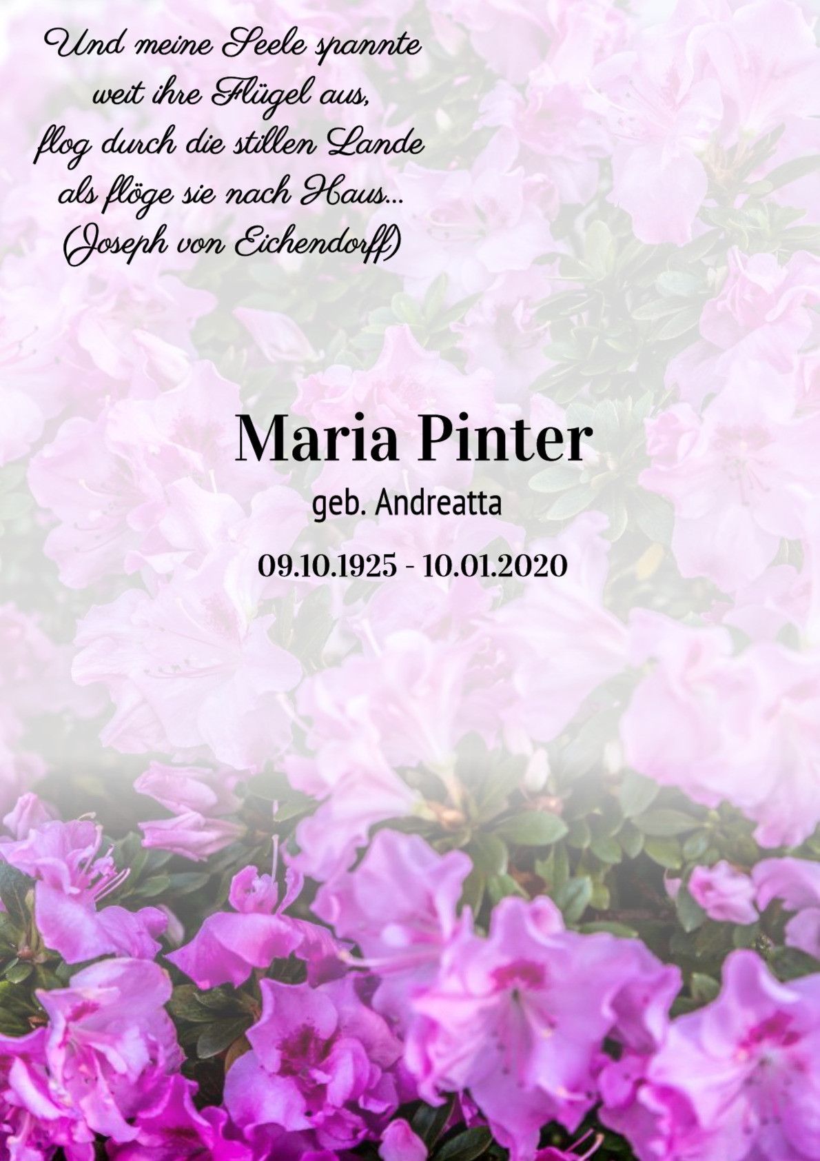 Traueranzeige von Maria Pinter