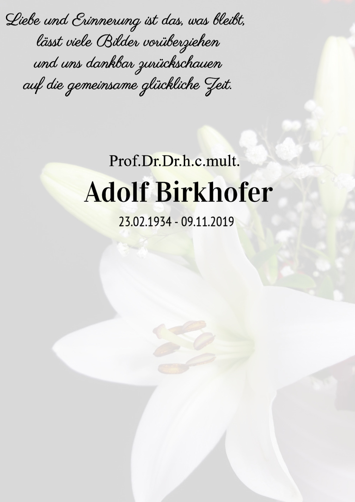 Traueranzeige von Prof.Dr.Dr.h.c.mult. Adolf Birkhofer