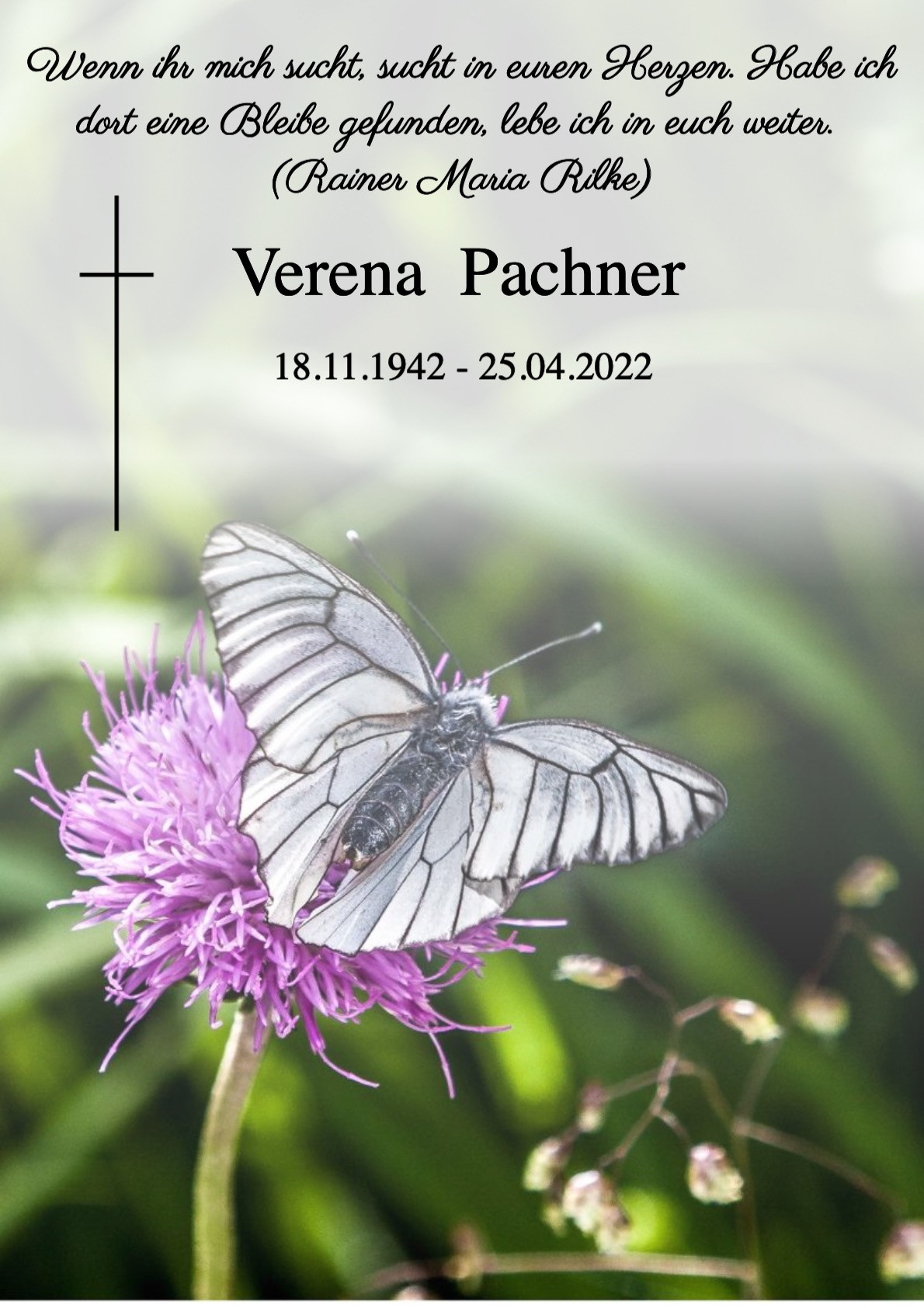 Traueranzeige von Verena Pachner