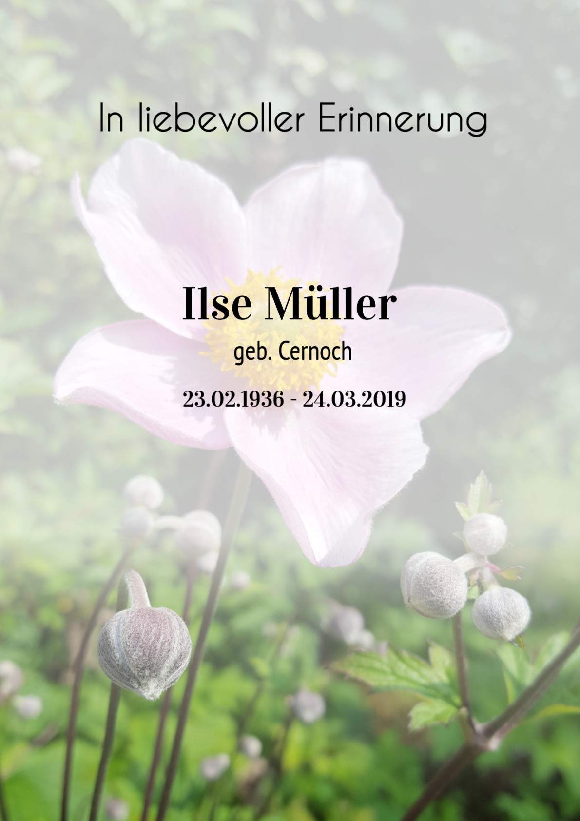 Traueranzeige von Ilse Müller