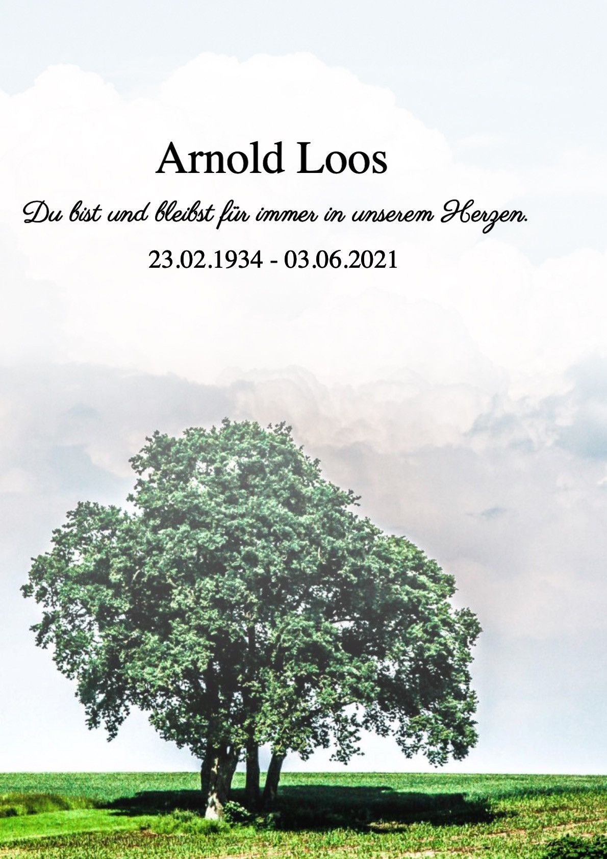 Traueranzeige von Arnold Loos