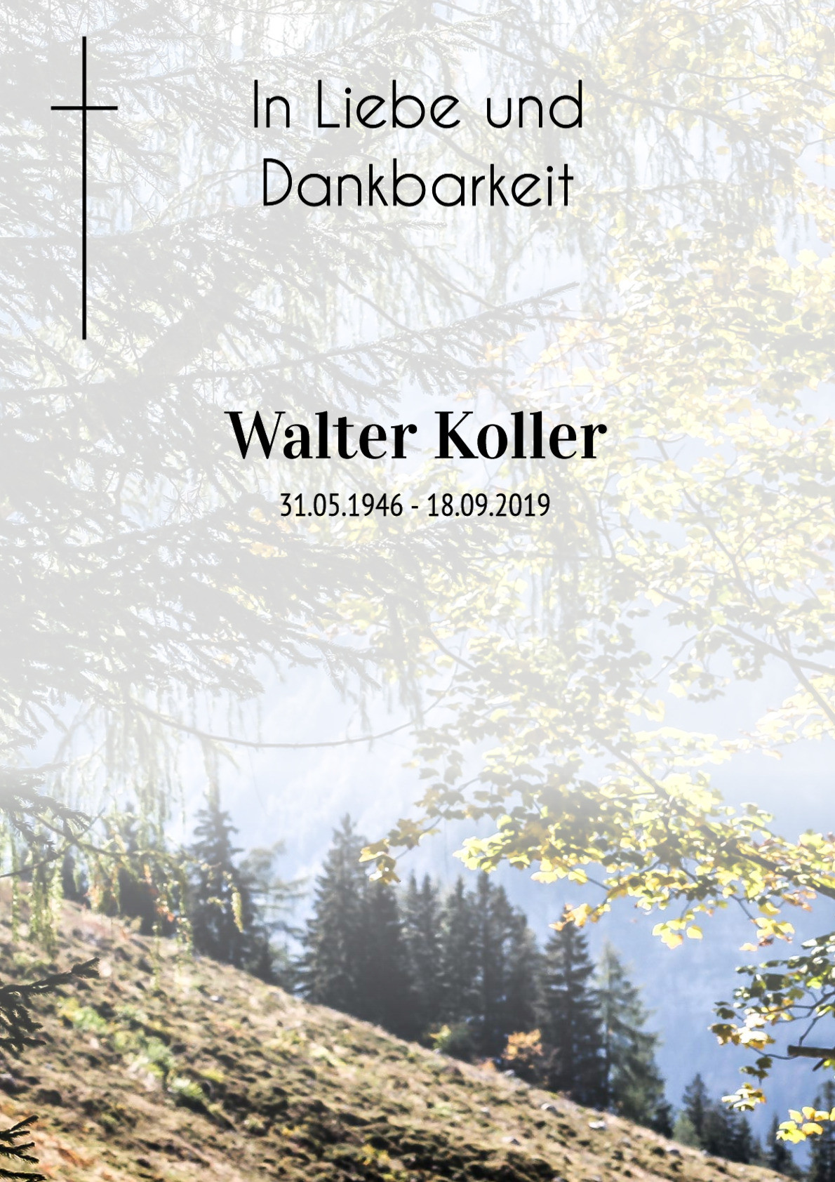 Traueranzeige von Walter Koller