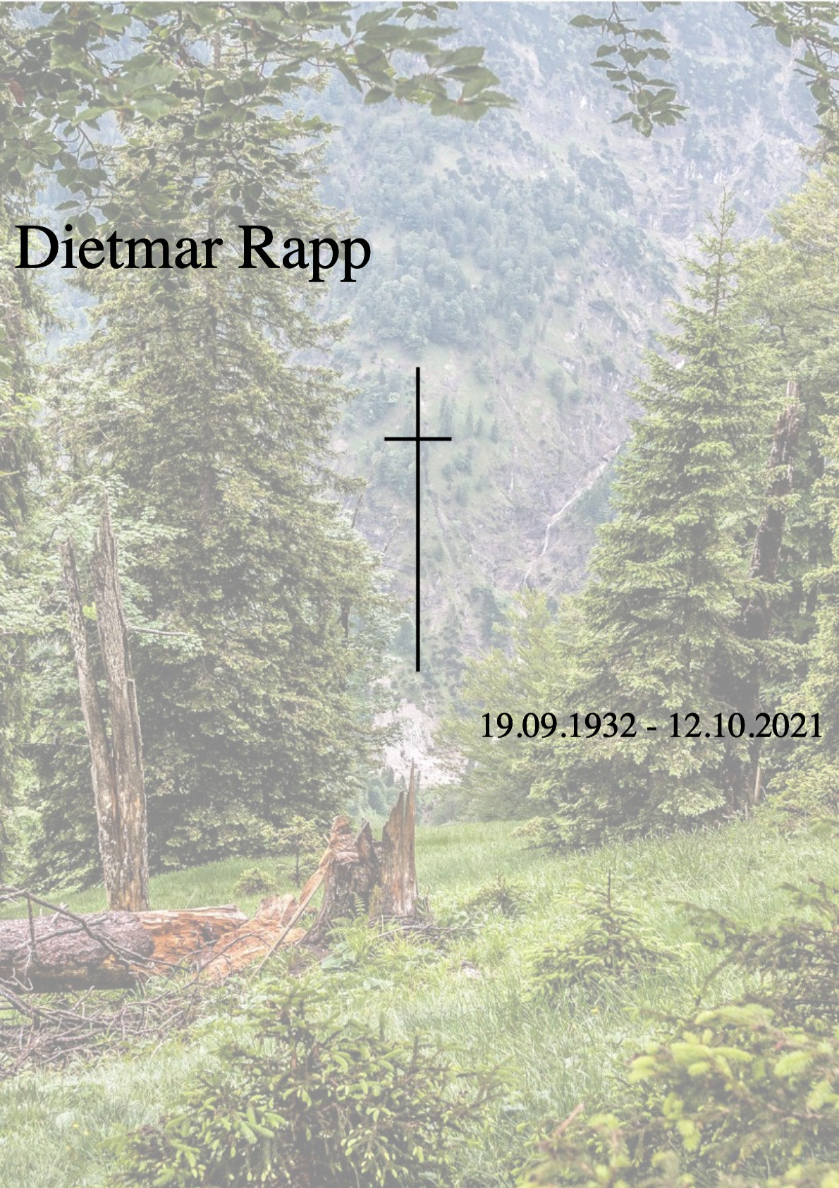 Traueranzeige von Dietmar Rapp