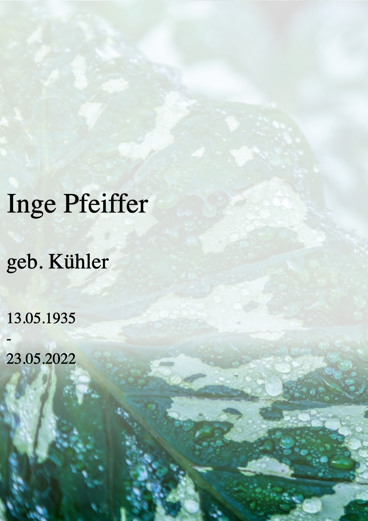Traueranzeige von Inge Pfeiffer